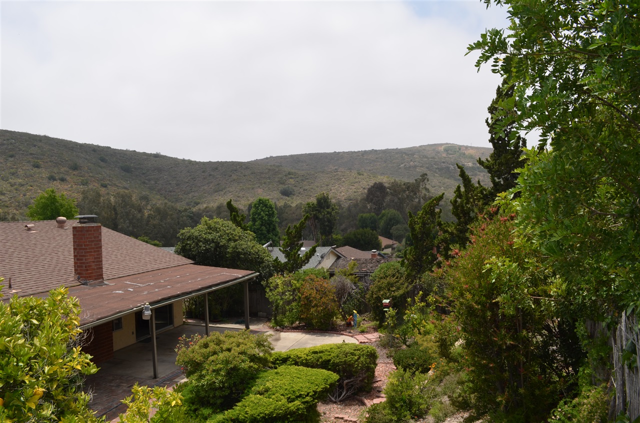 9932 Ledgeside Street Spring Valley, CA 91977 - Photo 6 of 19 Back yard