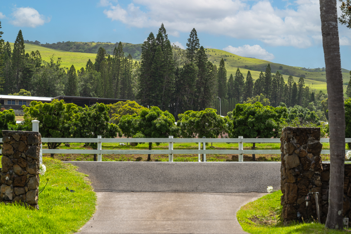 66-1685 Kohala Mountain Road Kamuela, HI 96743 - Photo 3 of 26 a view of a park with large trees