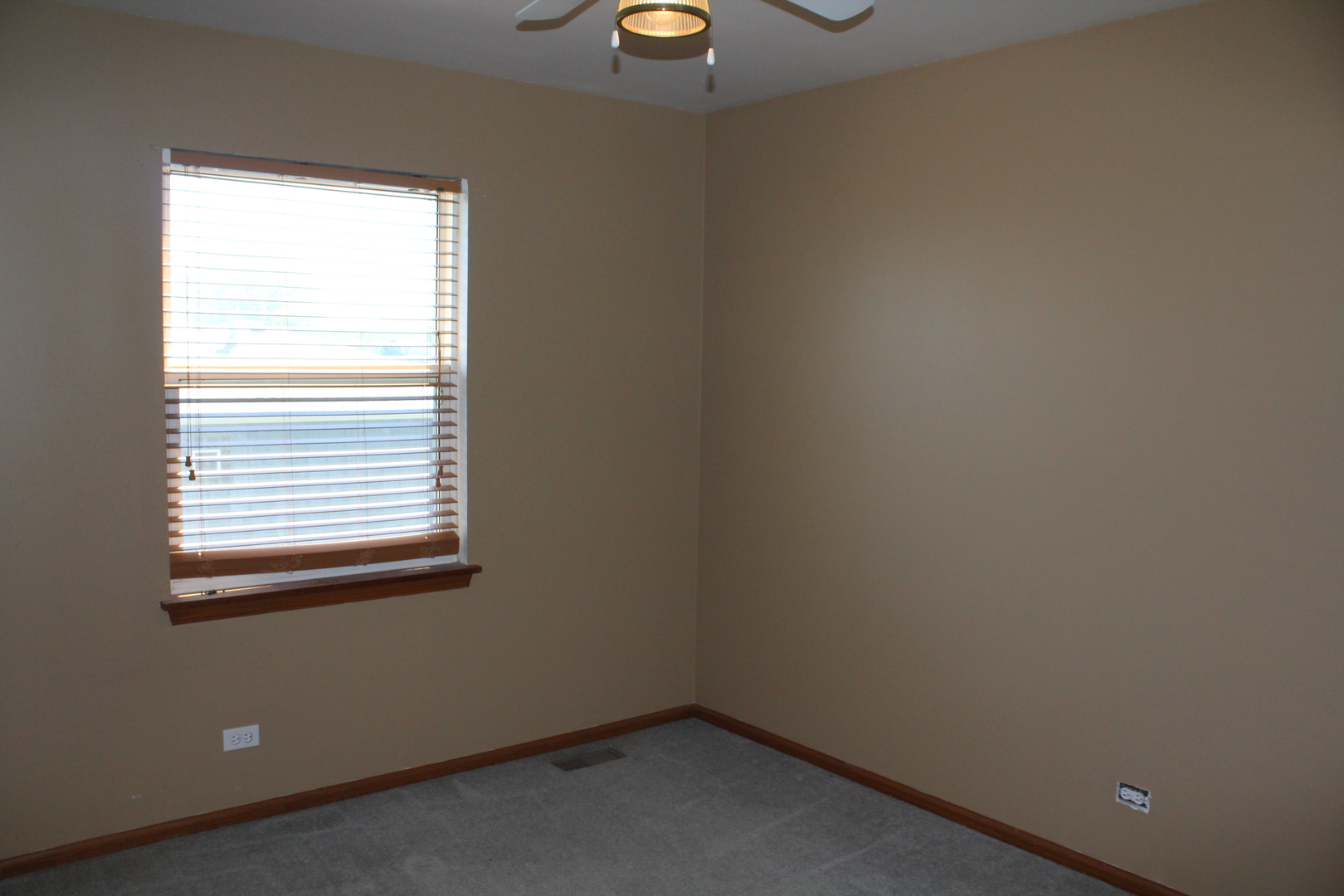 25733 South Middle Point Avenue Monee, IL 60449 - Photo 20 of 36