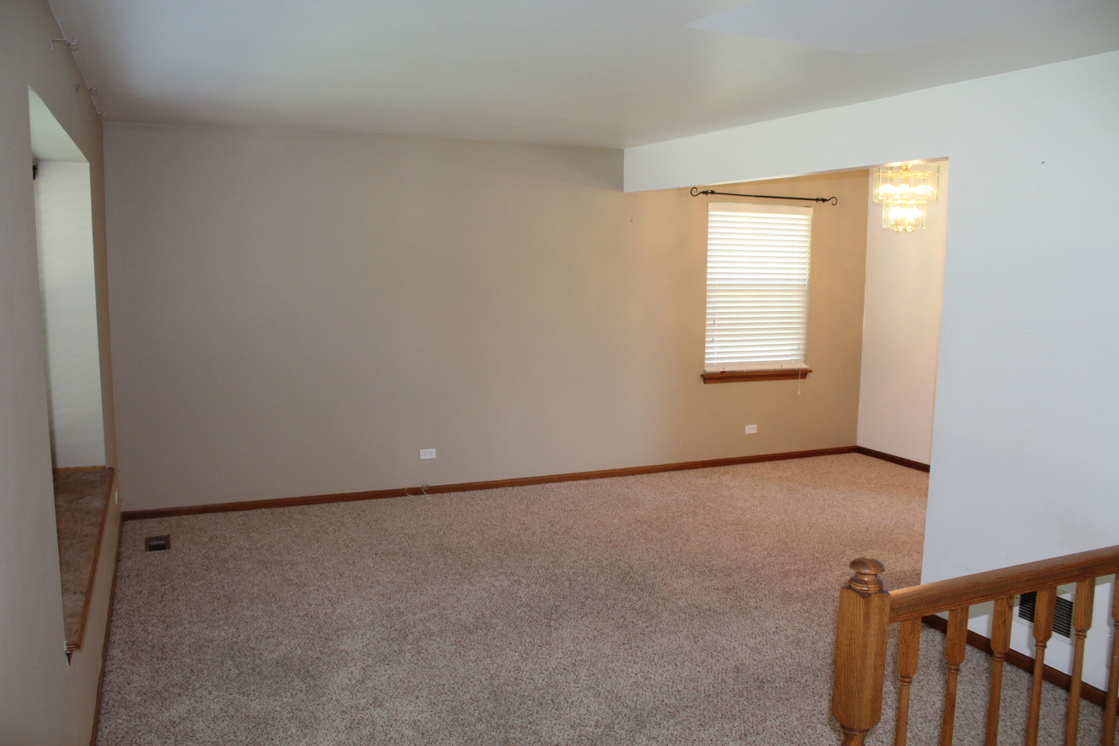 25733 South Middle Point Avenue Monee, IL 60449 - Photo 3 of 36