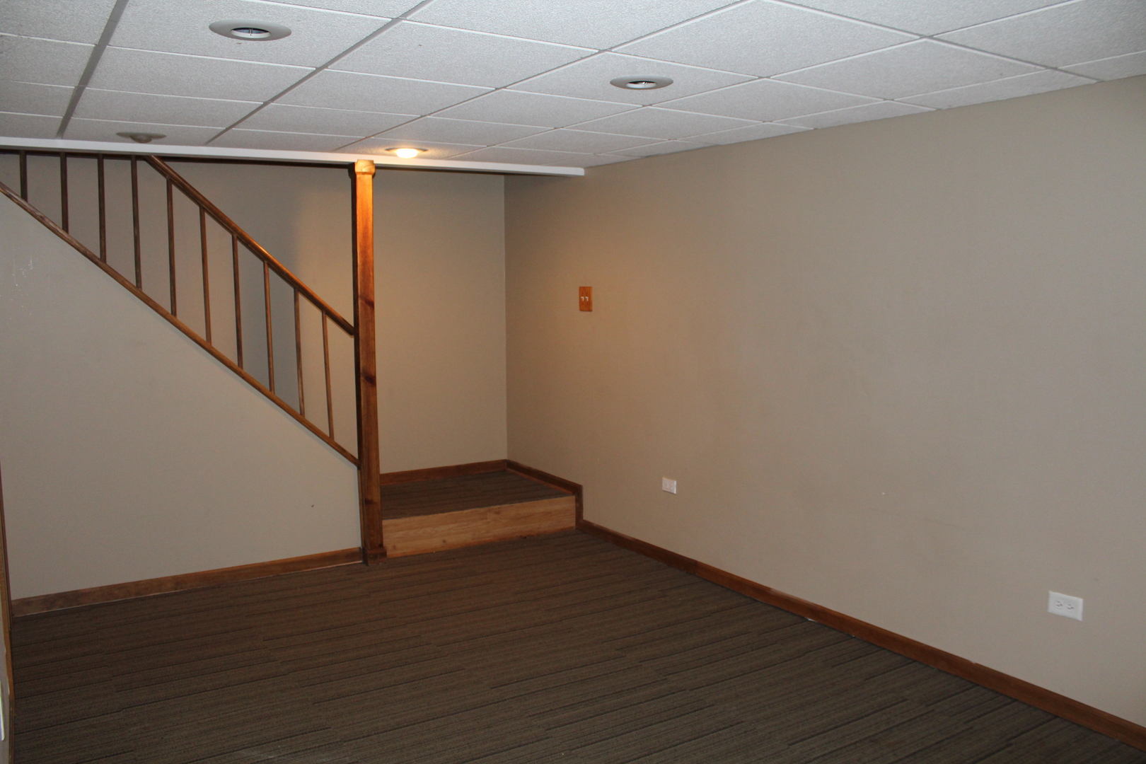 25733 South Middle Point Avenue Monee, IL 60449 - Photo 22 of 36