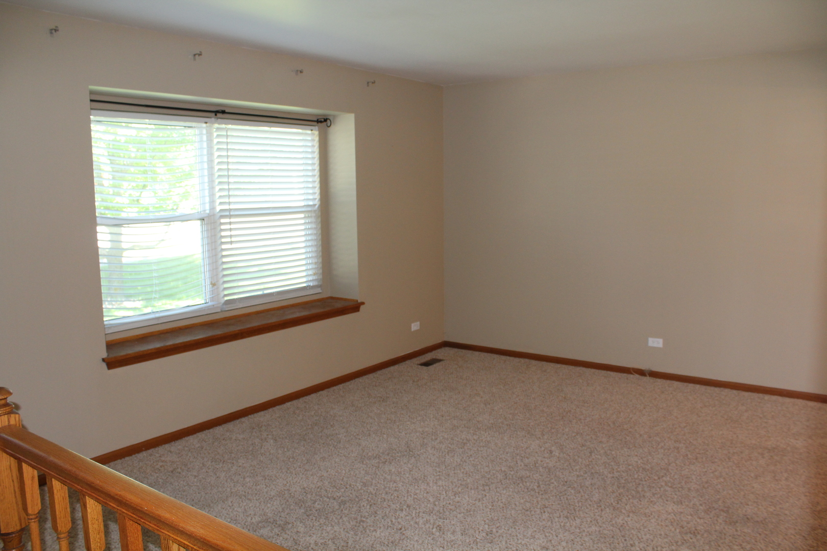 25733 South Middle Point Avenue Monee, IL 60449 - Photo 5 of 36