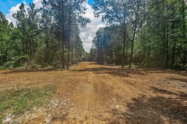 a view of outdoor space with trees