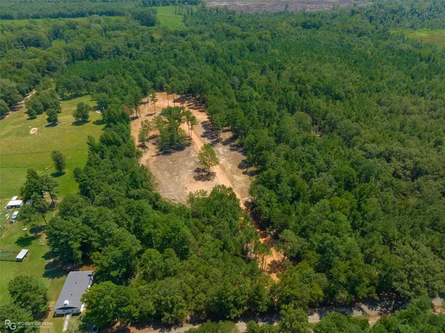 an aerial view of residential houses with outdoor space and trees
