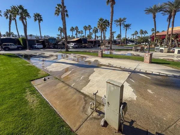 a view of a swimming pool with a lawn chairs and palm tree