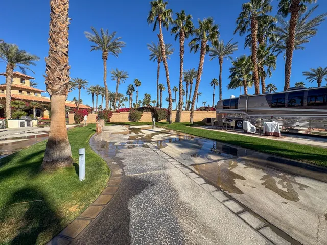 a view of a park with large trees