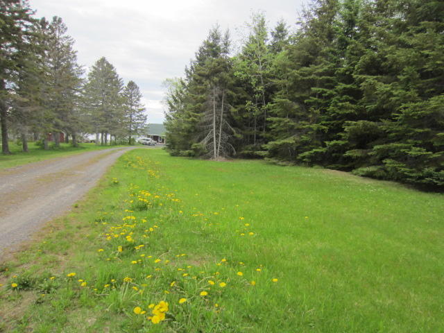 661 Lake Shore Road St. David, ME 04773 - Photo 15 of 15 IMG_5031