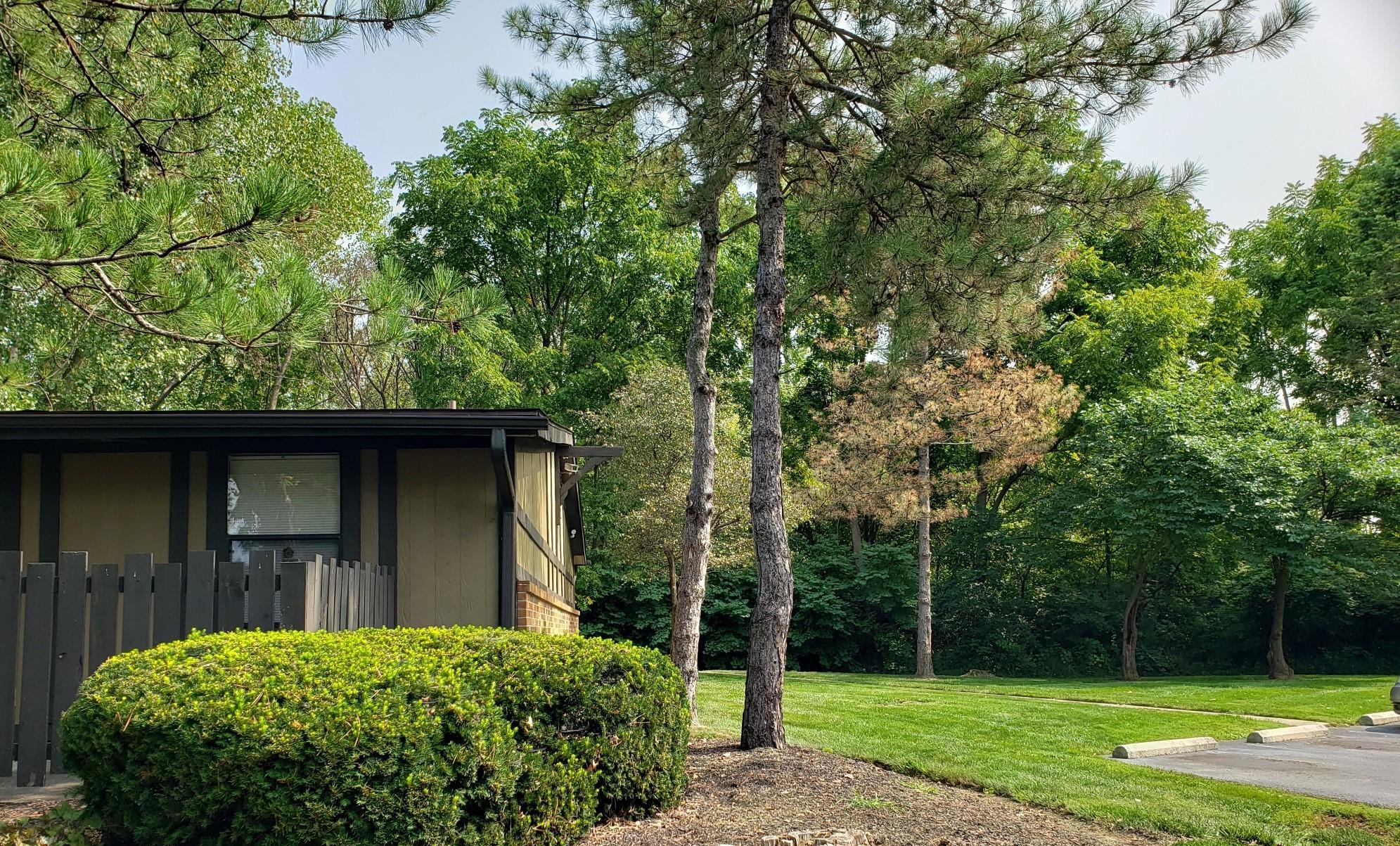 1750 McNaughten Road Columbus, OH 43232 - Photo 5 of 12