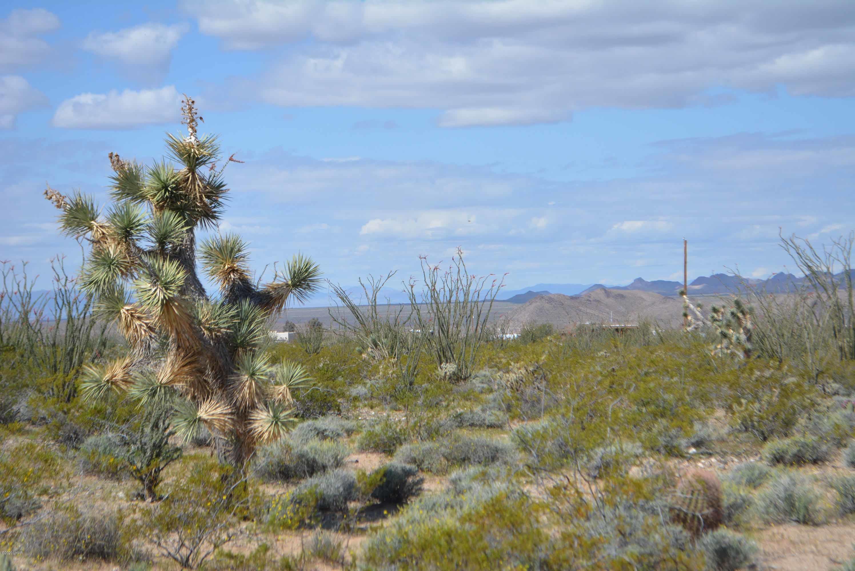 C3 Ruby Road Yucca, AZ 86438 - Photo 1 of 32 DSC_0230