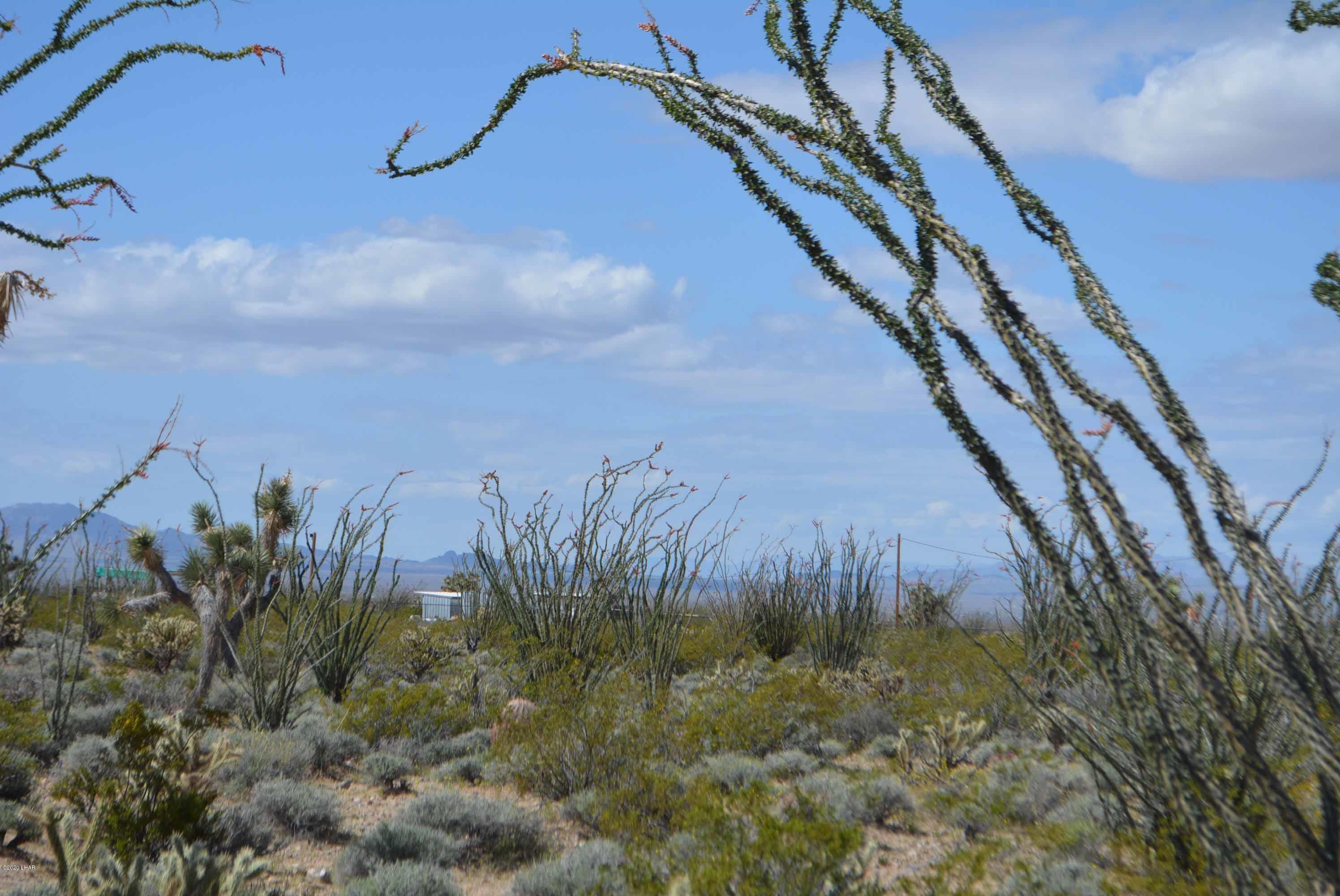 C3 Ruby Road Yucca, AZ 86438 - Photo 11 of 32 DSC_0241