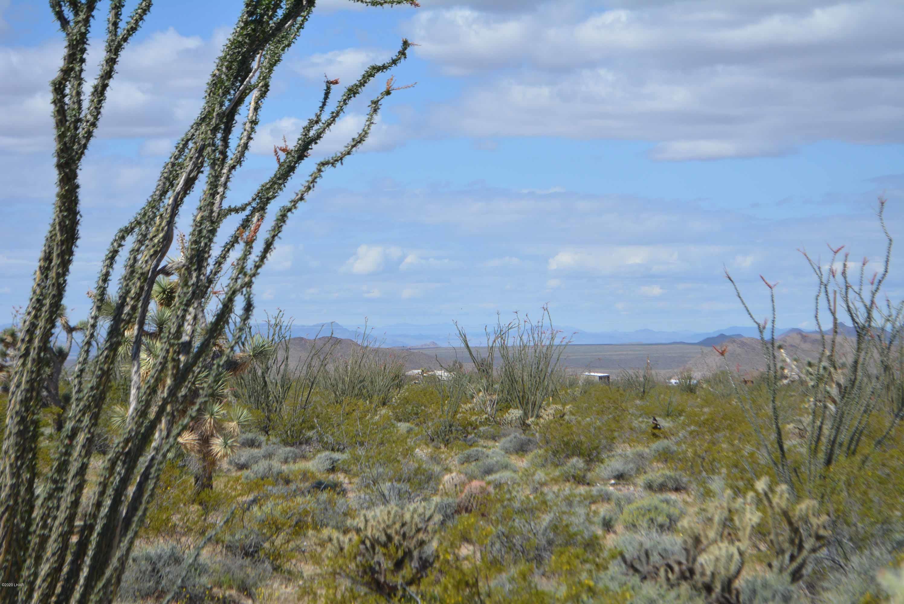 C3 Ruby Road Yucca, AZ 86438 - Photo 12 of 32 DSC_0242