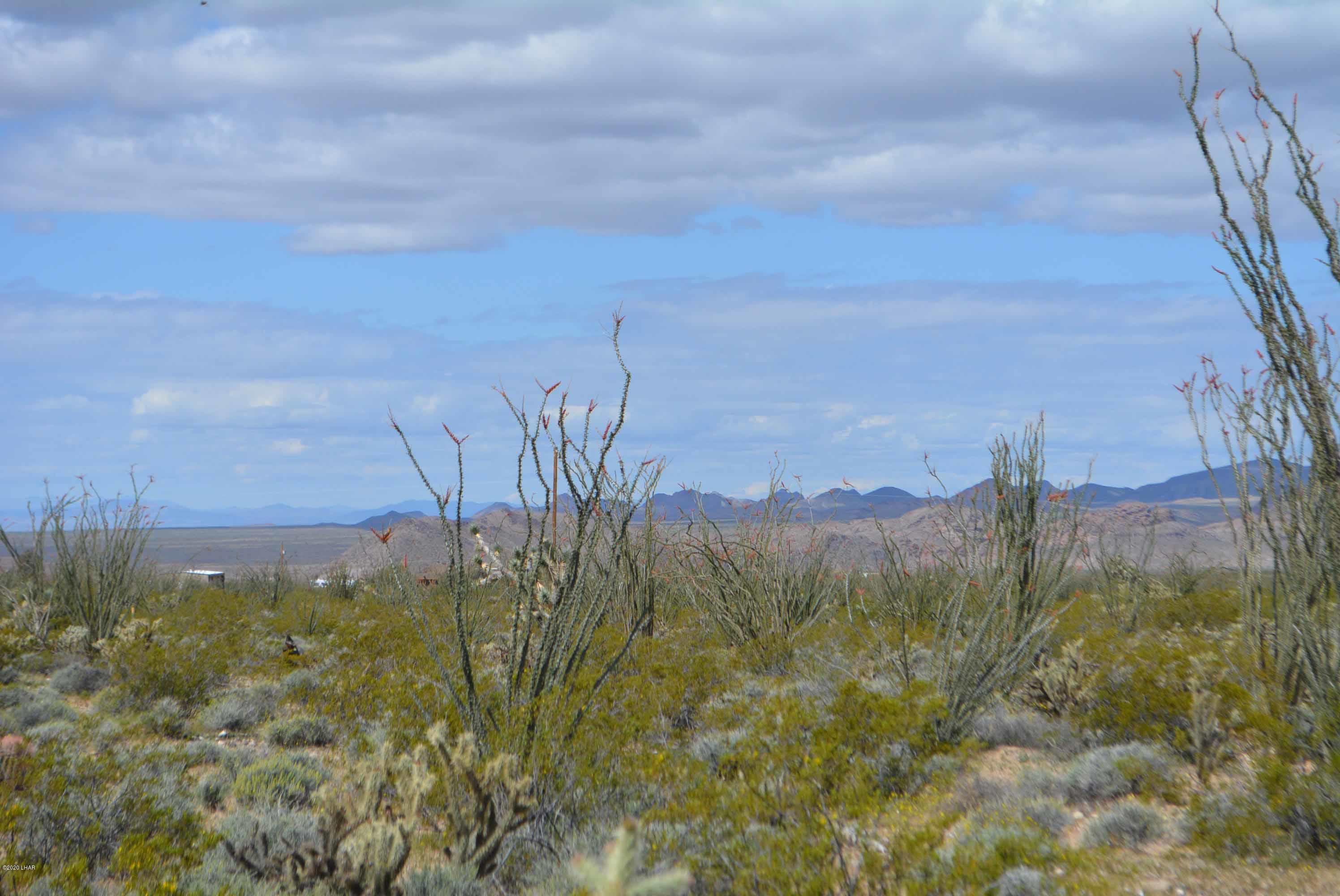 C3 Ruby Road Yucca, AZ 86438 - Photo 13 of 32 DSC_0243