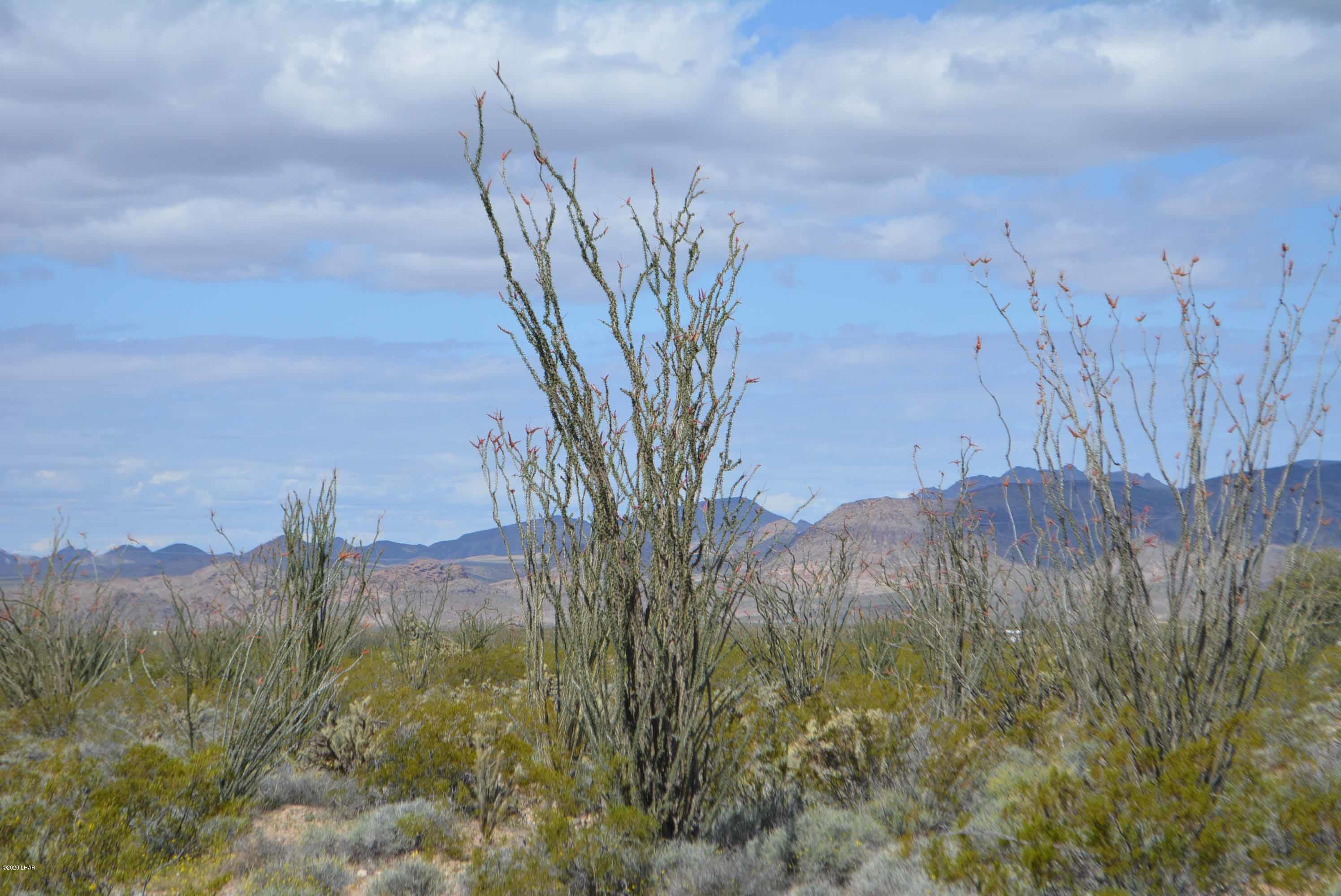C3 Ruby Road Yucca, AZ 86438 - Photo 14 of 32 DSC_0244