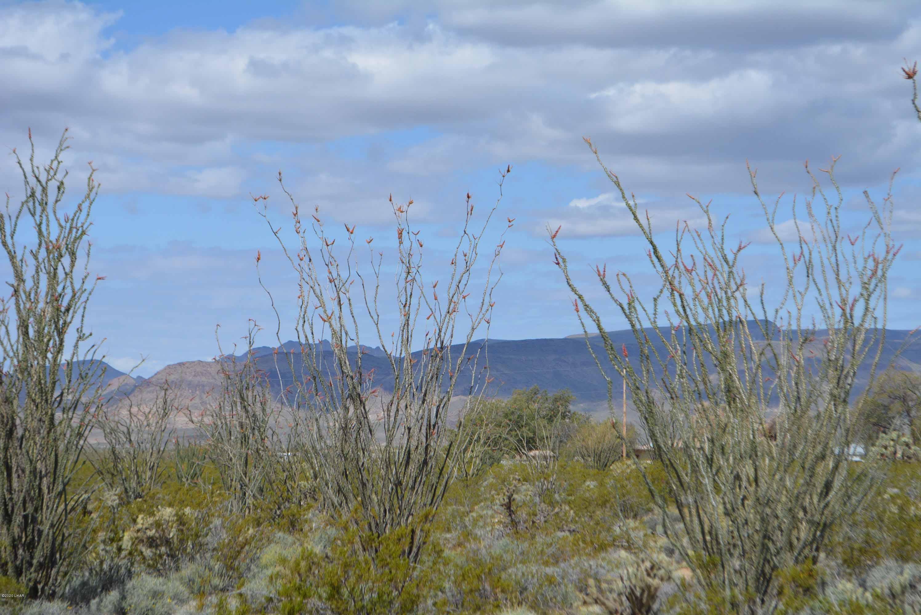 C3 Ruby Road Yucca, AZ 86438 - Photo 15 of 32 DSC_0245