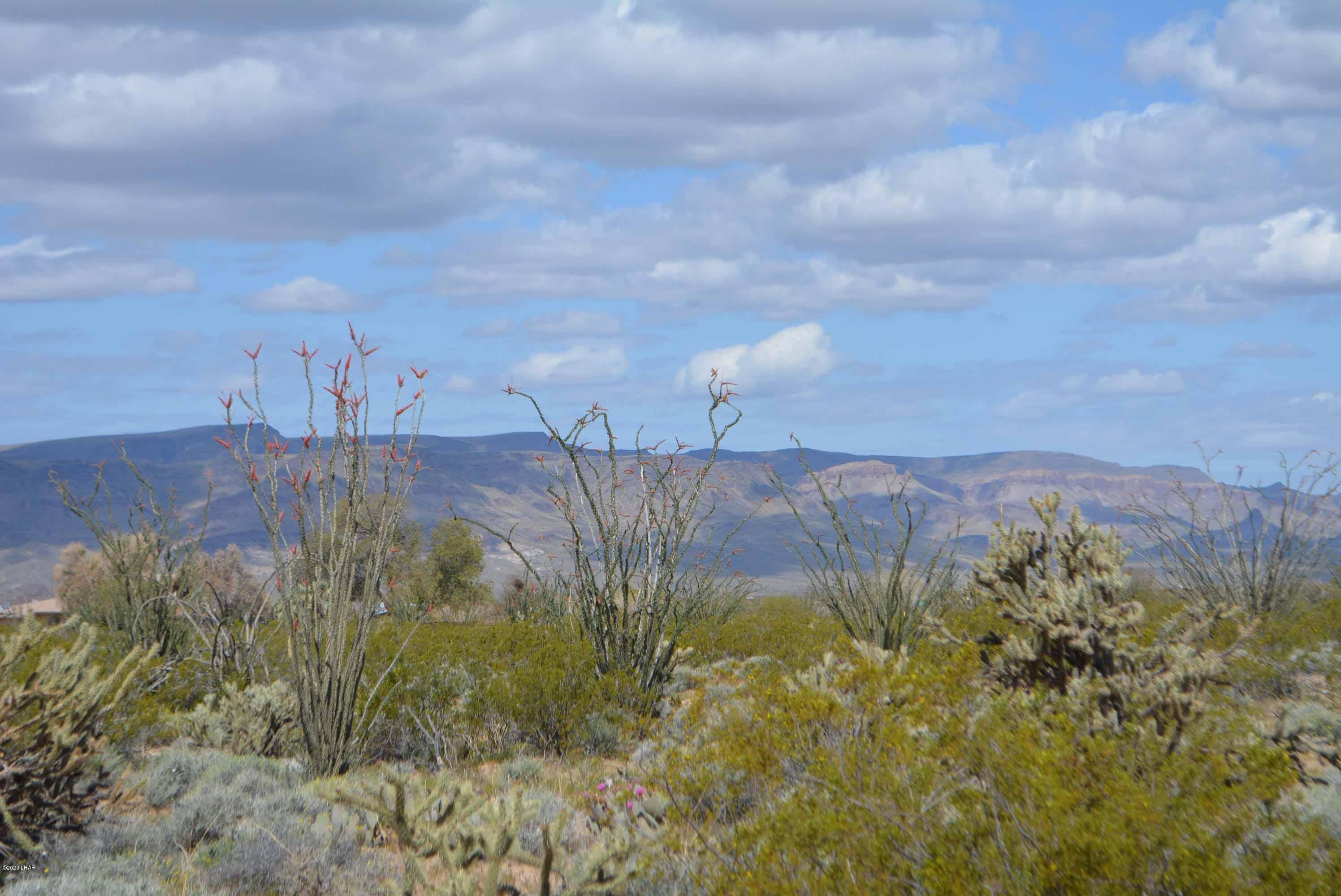 C3 Ruby Road Yucca, AZ 86438 - Photo 16 of 32 DSC_0246