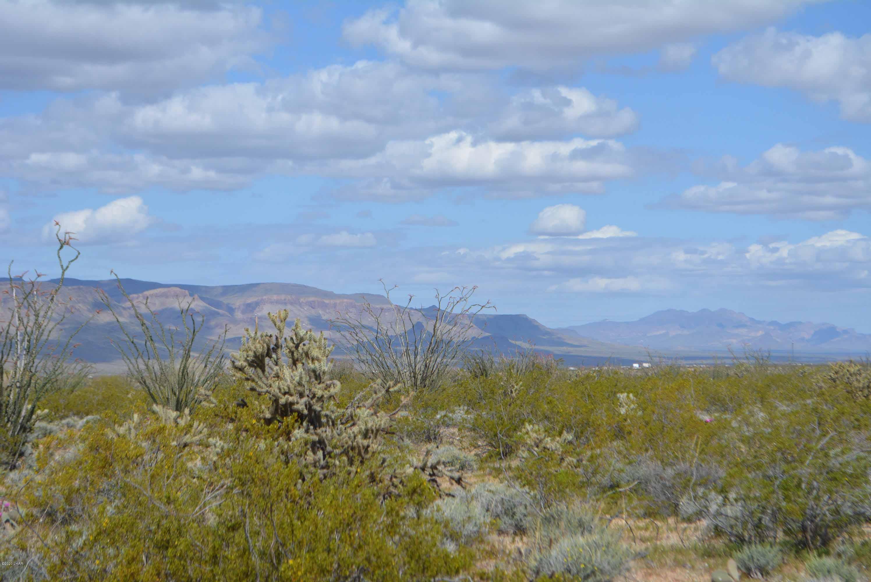 C3 Ruby Road Yucca, AZ 86438 - Photo 17 of 32 DSC_0247