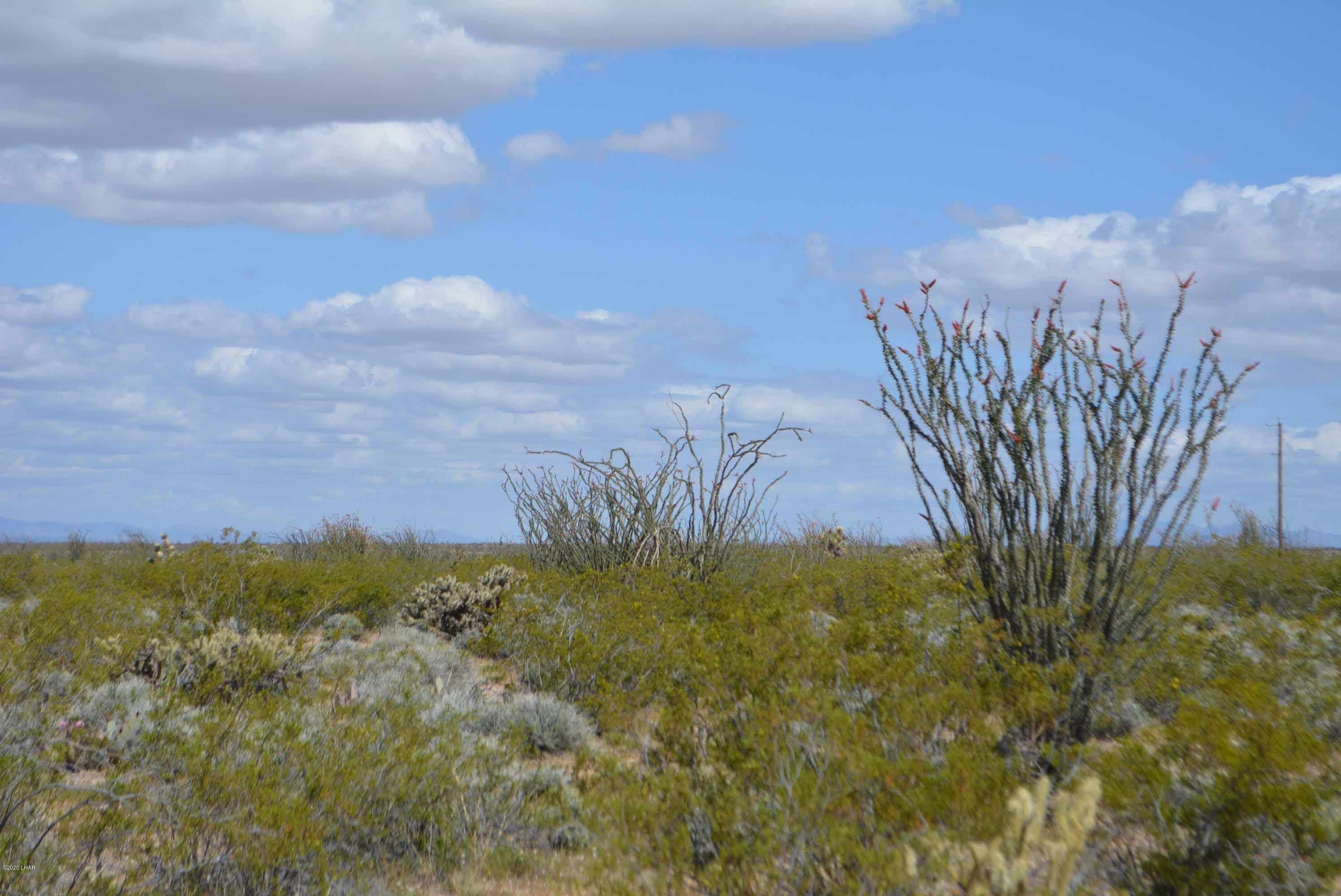 C3 Ruby Road Yucca, AZ 86438 - Photo 19 of 32 DSC_0249