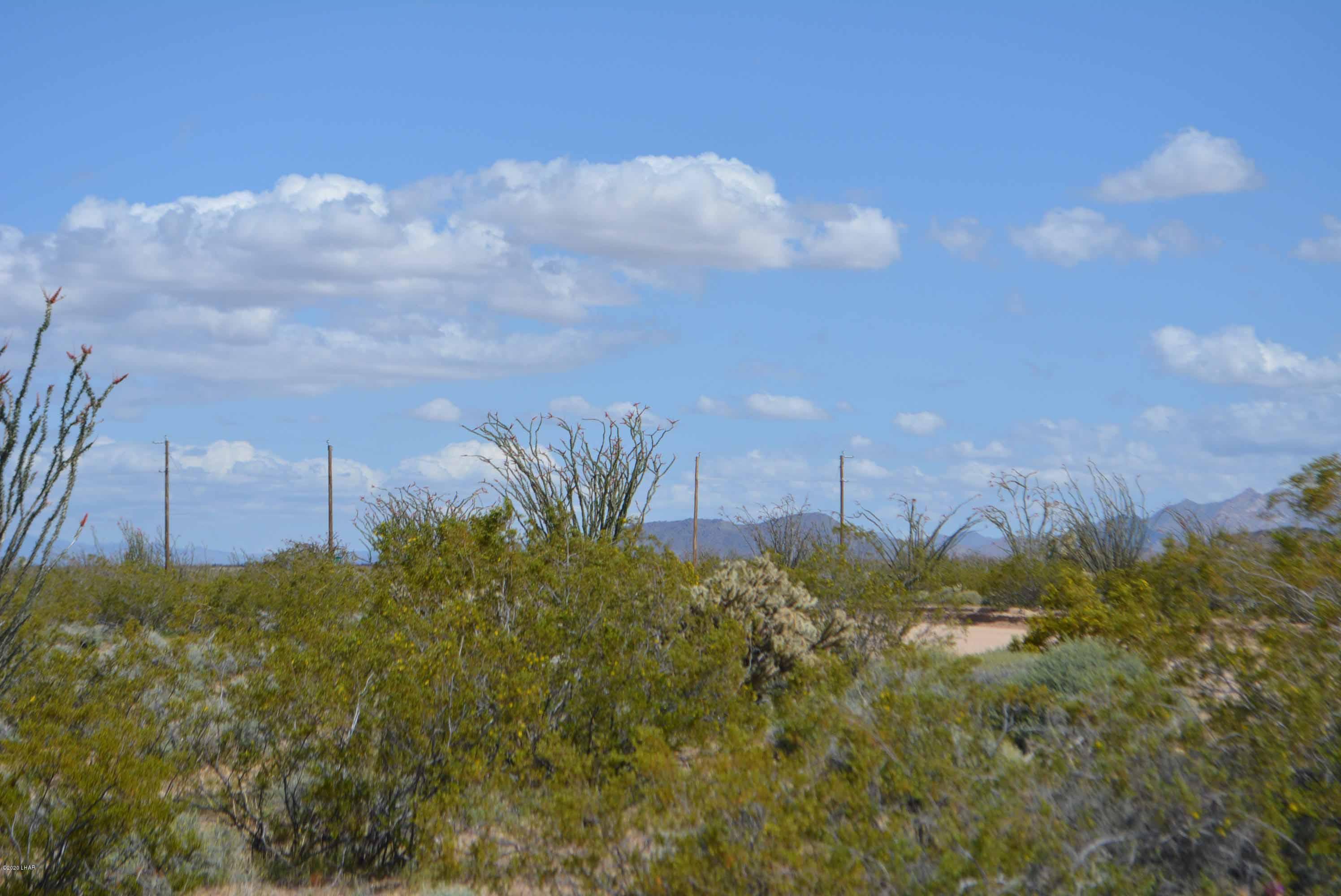C3 Ruby Road Yucca, AZ 86438 - Photo 20 of 32 DSC_0250
