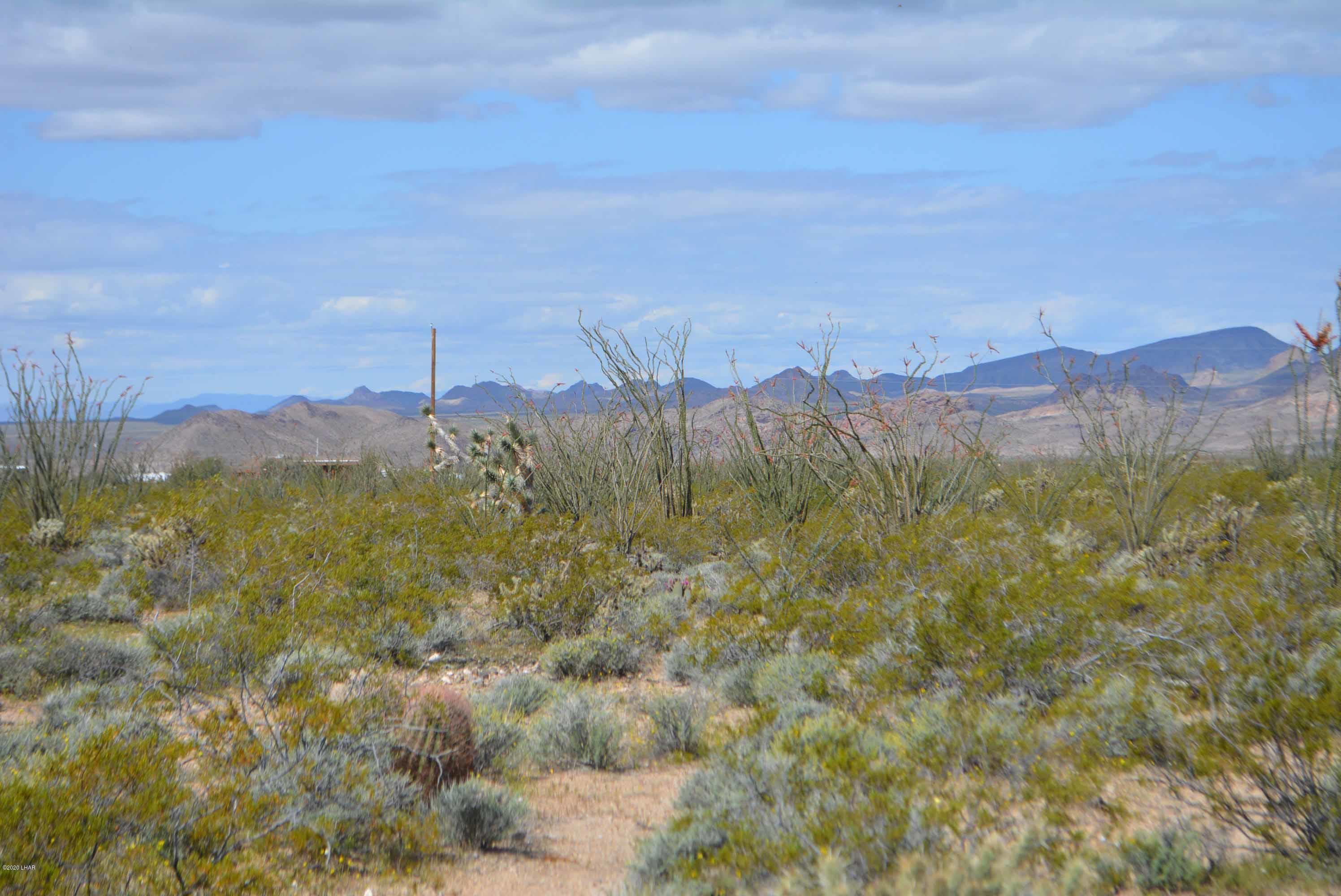 C3 Ruby Road Yucca, AZ 86438 - Photo 2 of 32 DSC_0231