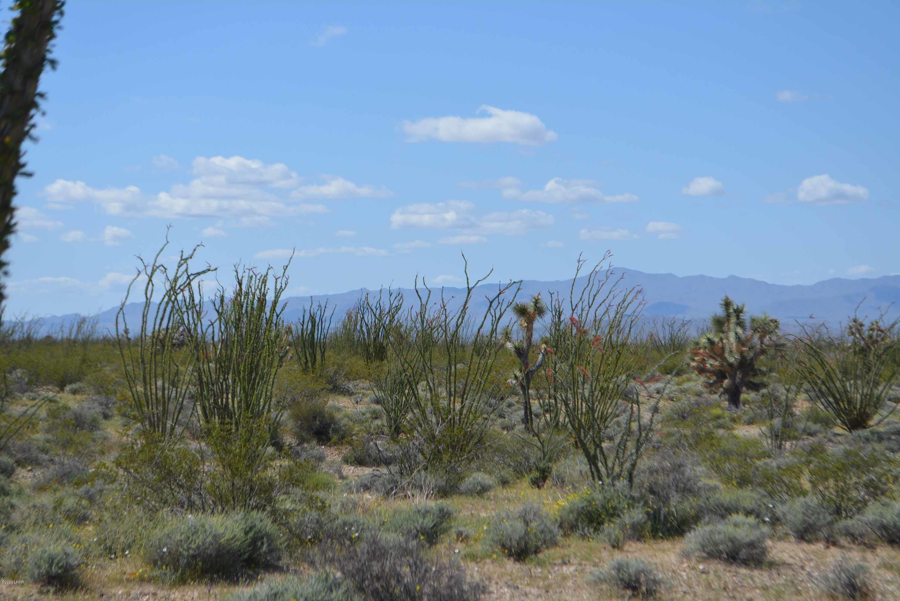 C3 Ruby Road Yucca, AZ 86438 - Photo 21 of 32 DSC_0252