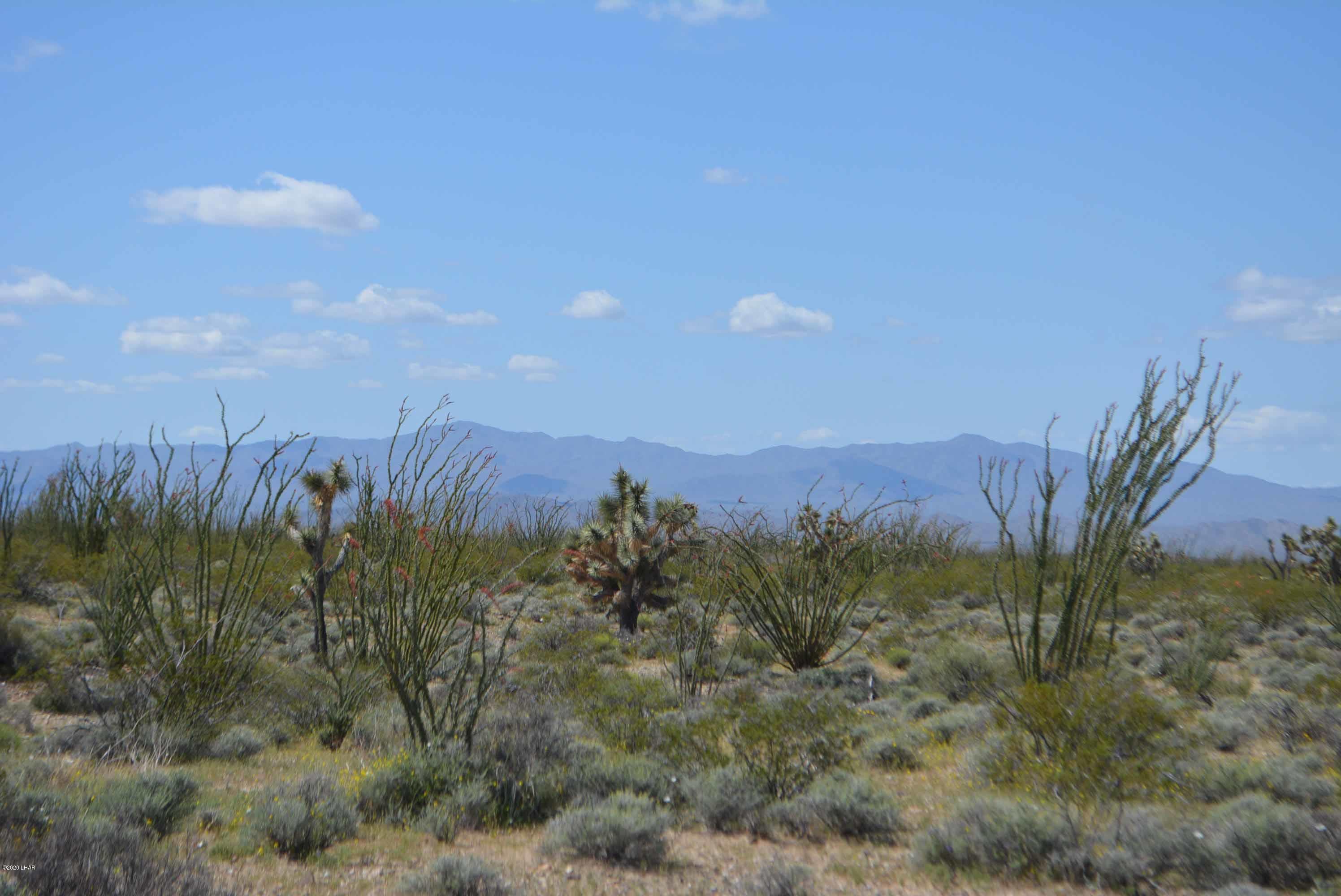 C3 Ruby Road Yucca, AZ 86438 - Photo 22 of 32 DSC_0253