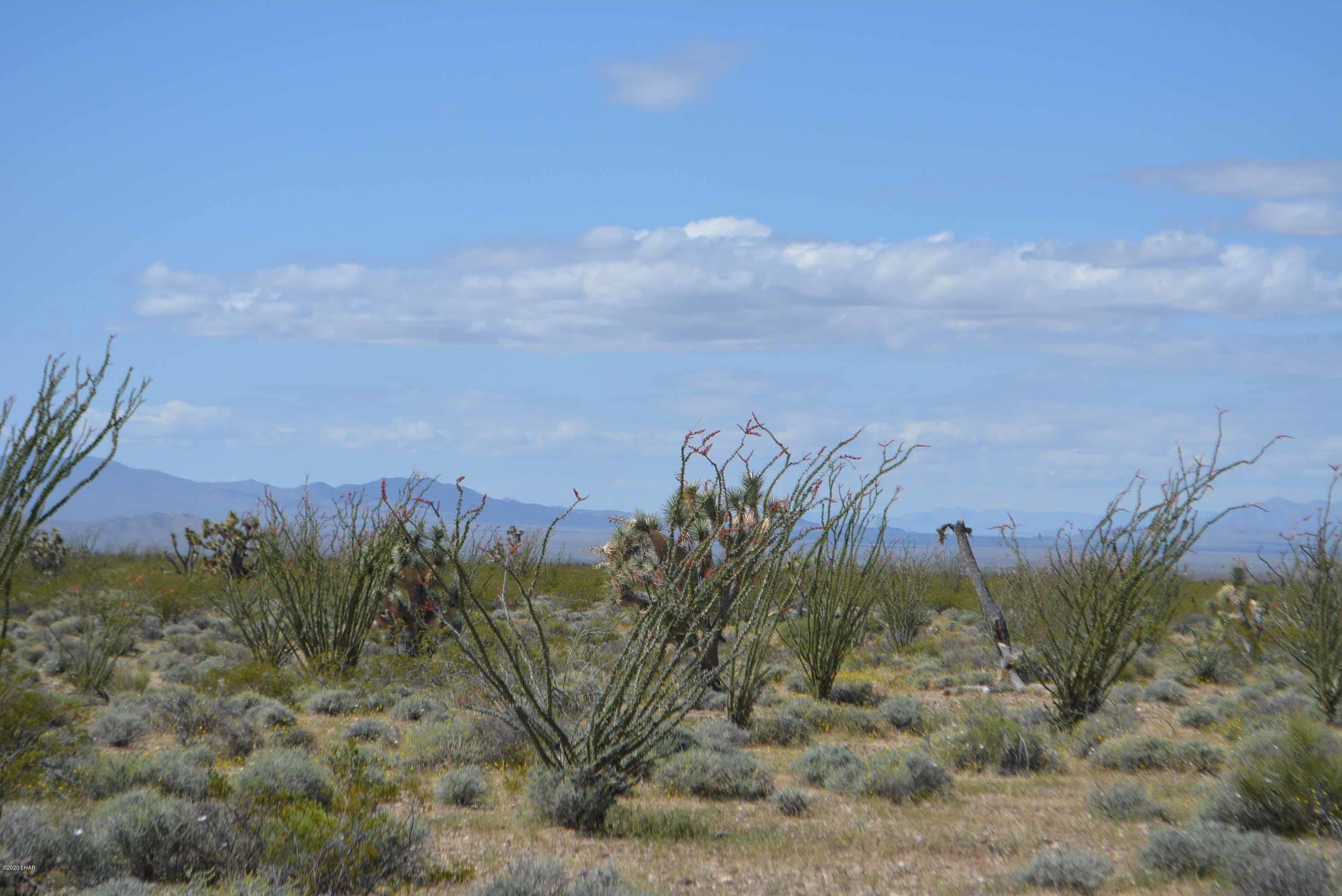 C3 Ruby Road Yucca, AZ 86438 - Photo 24 of 32 DSC_0255