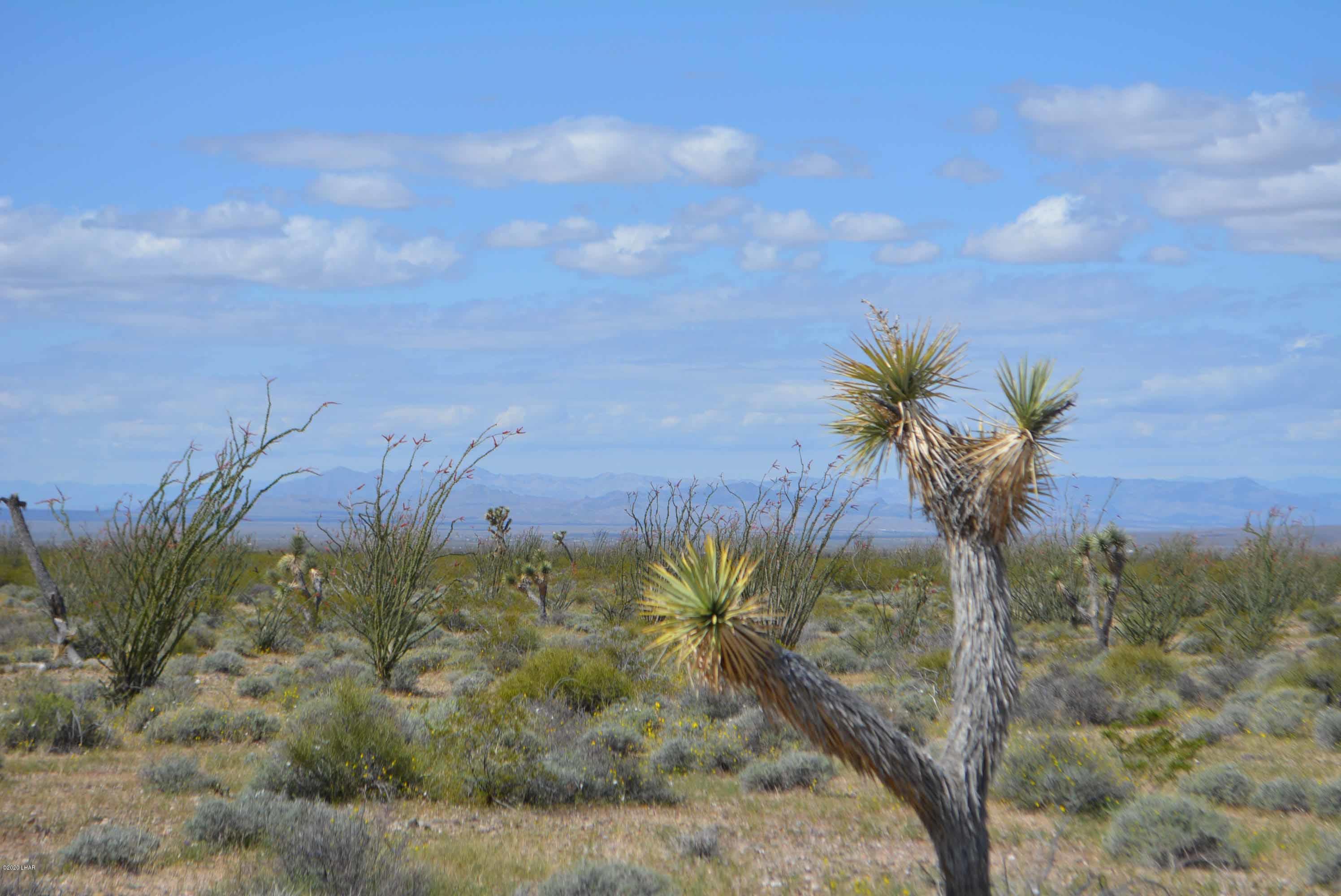C3 Ruby Road Yucca, AZ 86438 - Photo 25 of 32 DSC_0256