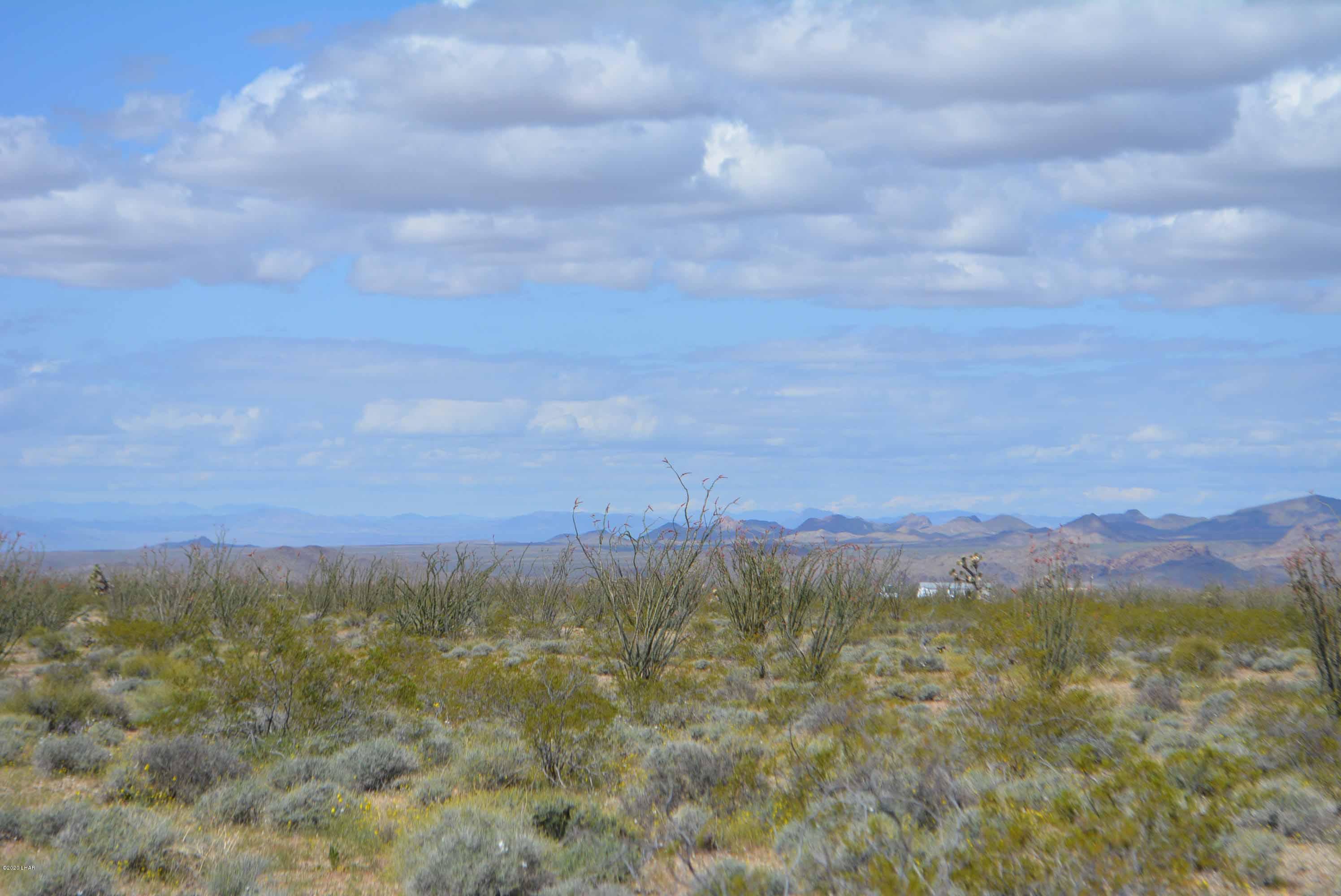 C3 Ruby Road Yucca, AZ 86438 - Photo 26 of 32 DSC_0257