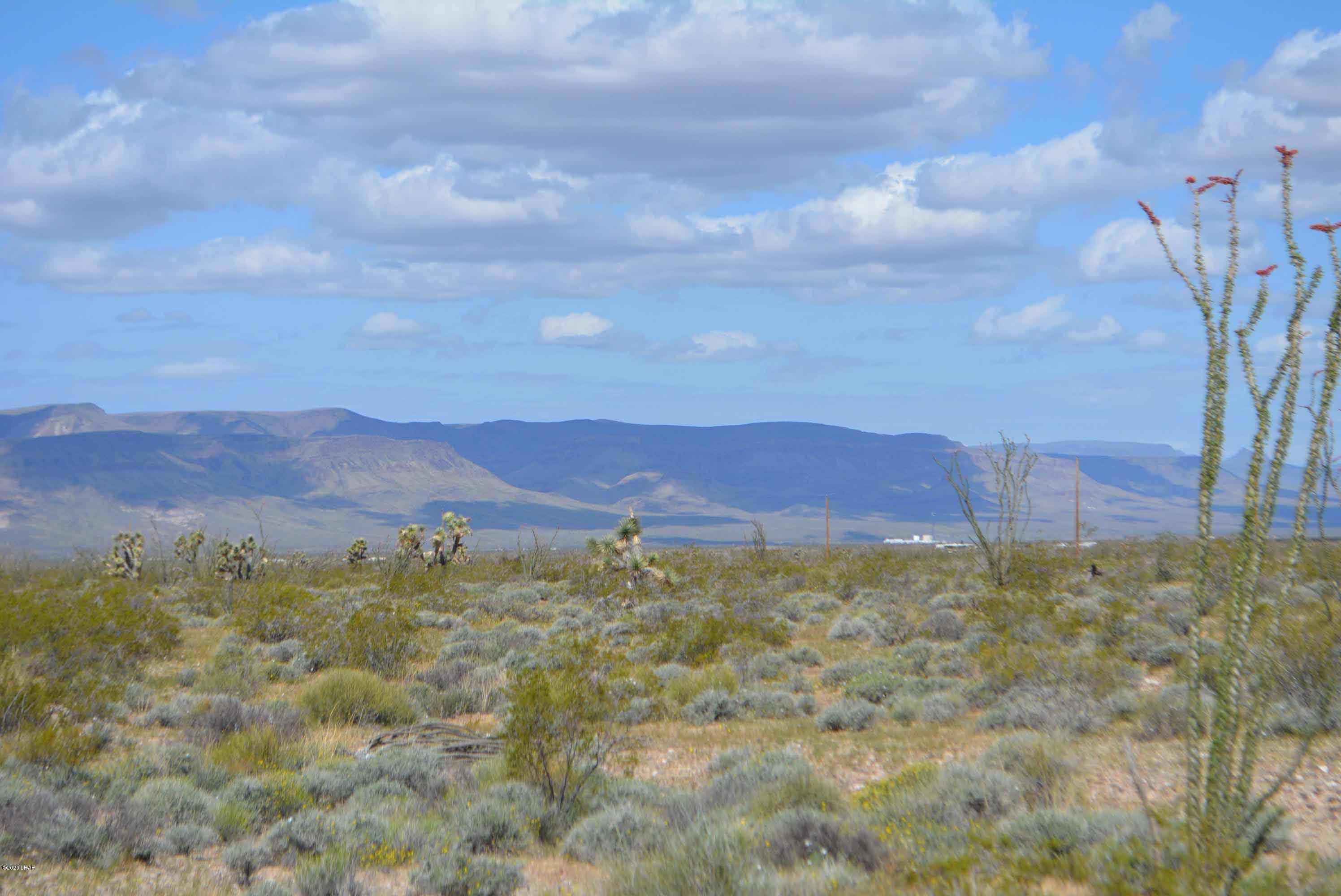 C3 Ruby Road Yucca, AZ 86438 - Photo 28 of 32 DSC_0259