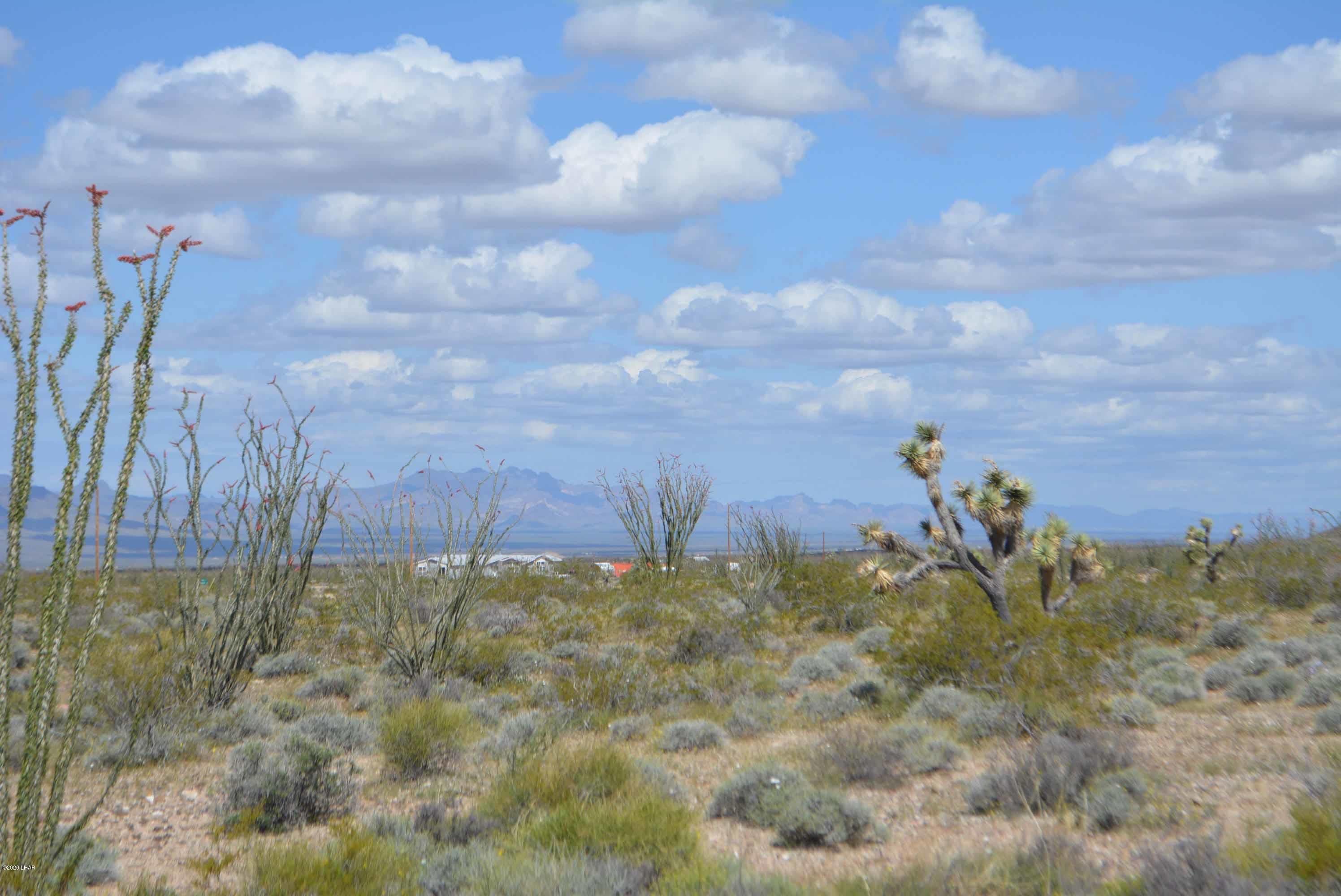 C3 Ruby Road Yucca, AZ 86438 - Photo 29 of 32 DSC_0260