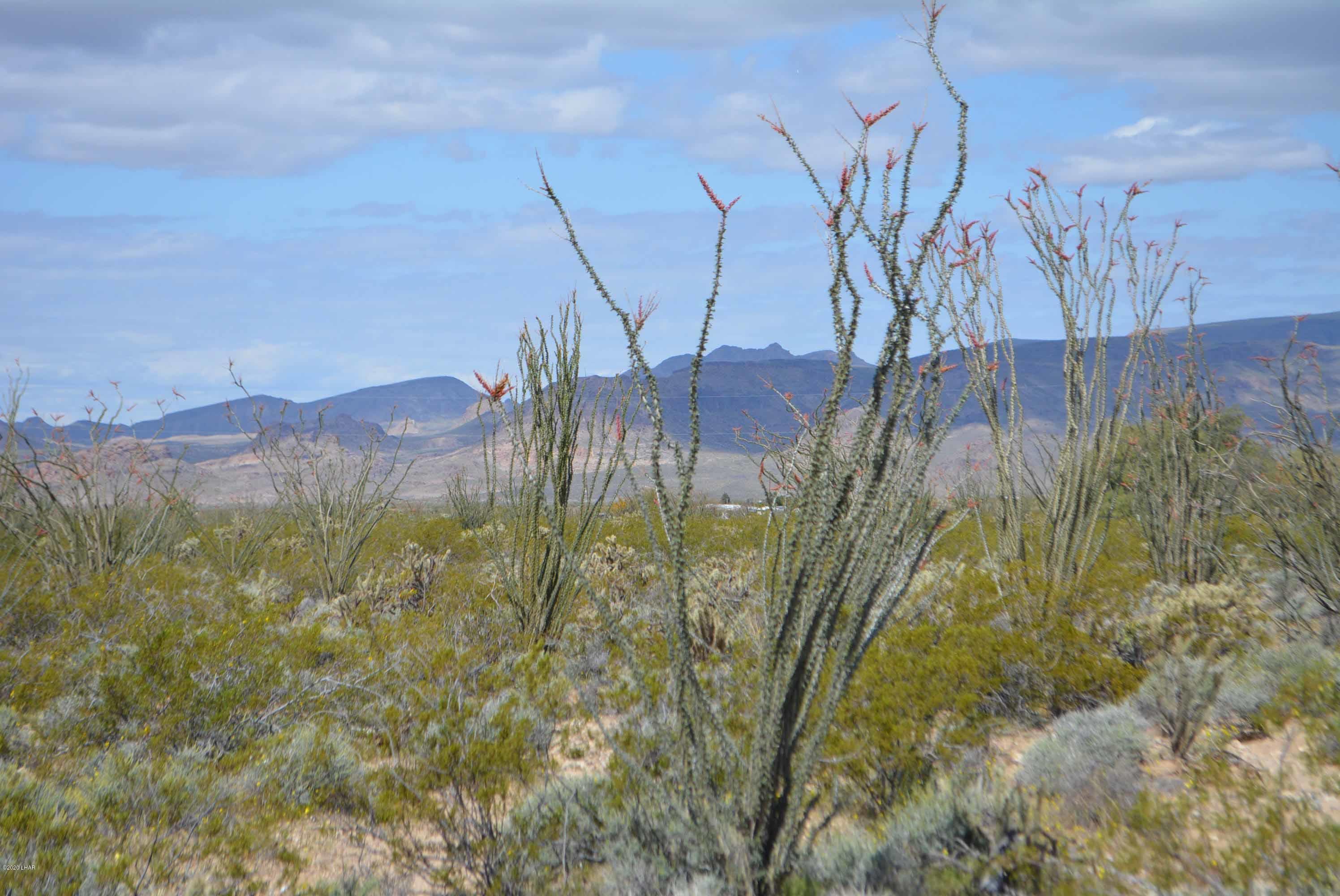 C3 Ruby Road Yucca, AZ 86438 - Photo 3 of 32 DSC_0232