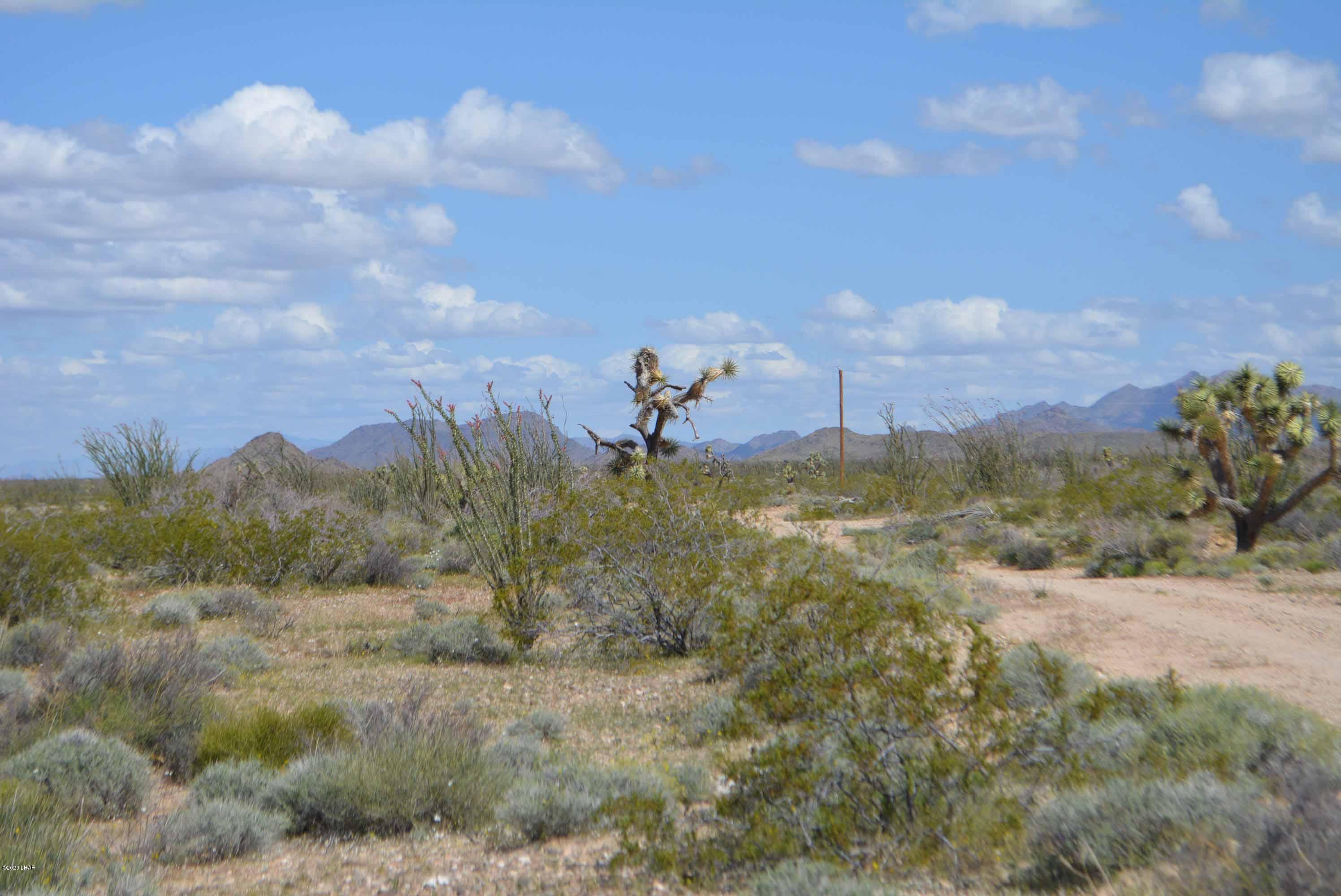 C3 Ruby Road Yucca, AZ 86438 - Photo 31 of 32 DSC_0262