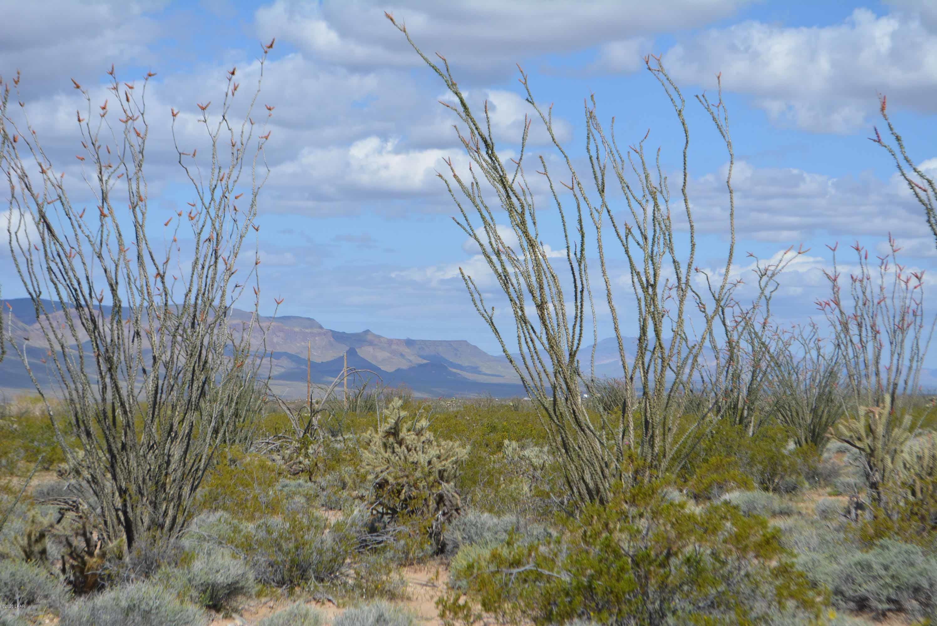 C3 Ruby Road Yucca, AZ 86438 - Photo 5 of 32 DSC_0234