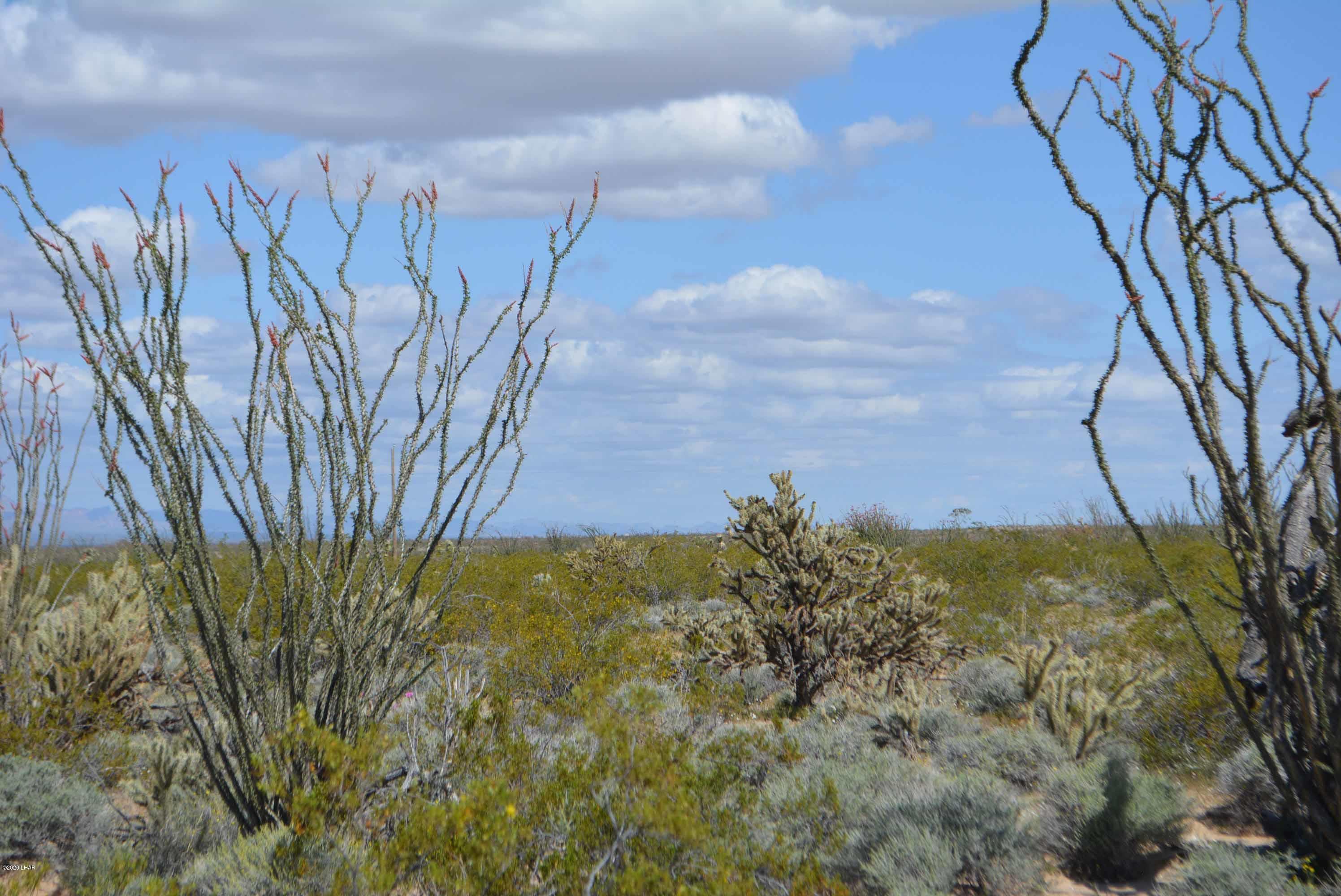 C3 Ruby Road Yucca, AZ 86438 - Photo 6 of 32 DSC_0235