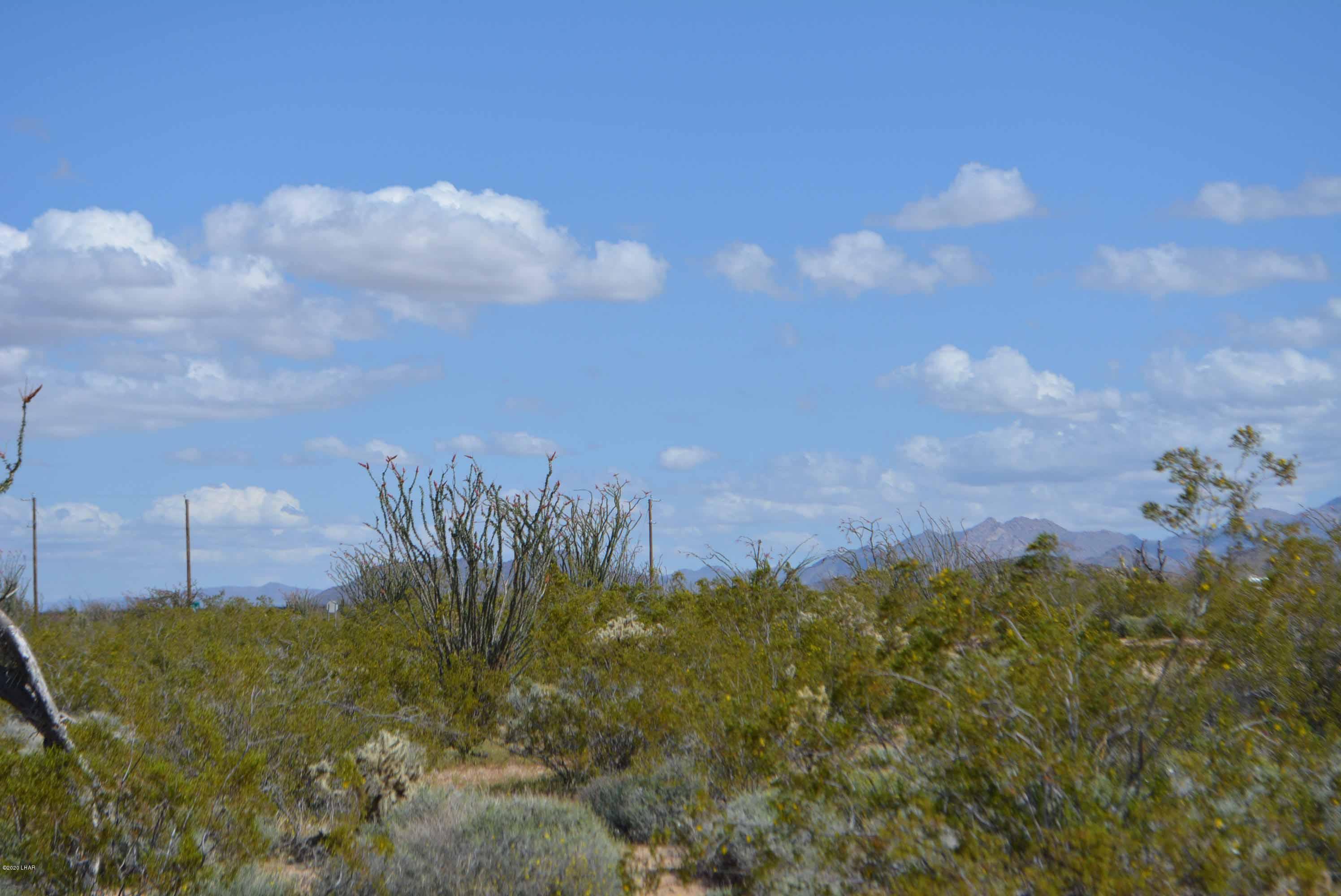 C3 Ruby Road Yucca, AZ 86438 - Photo 7 of 32 DSC_0236