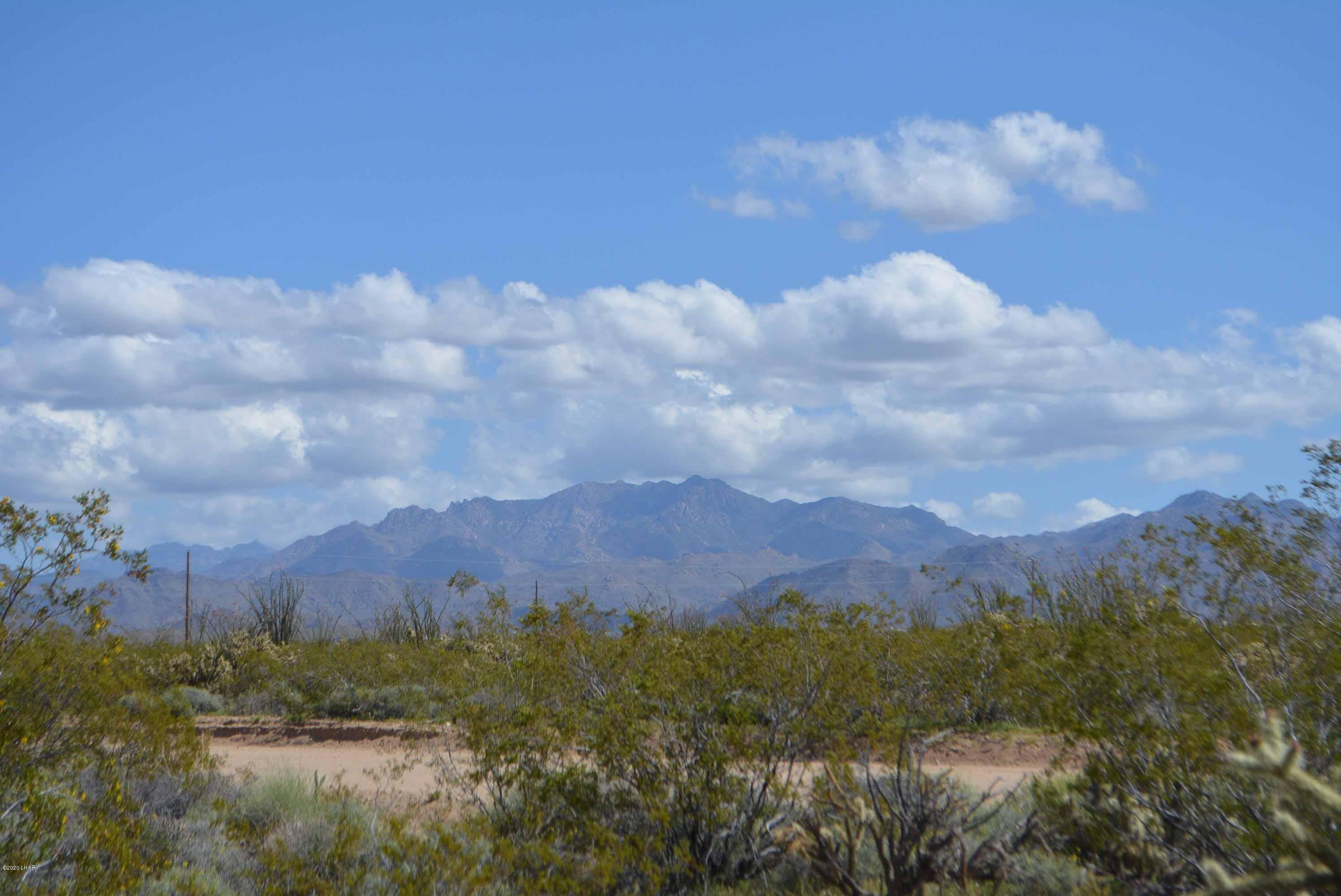 C3 Ruby Road Yucca, AZ 86438 - Photo 8 of 32 DSC_0237