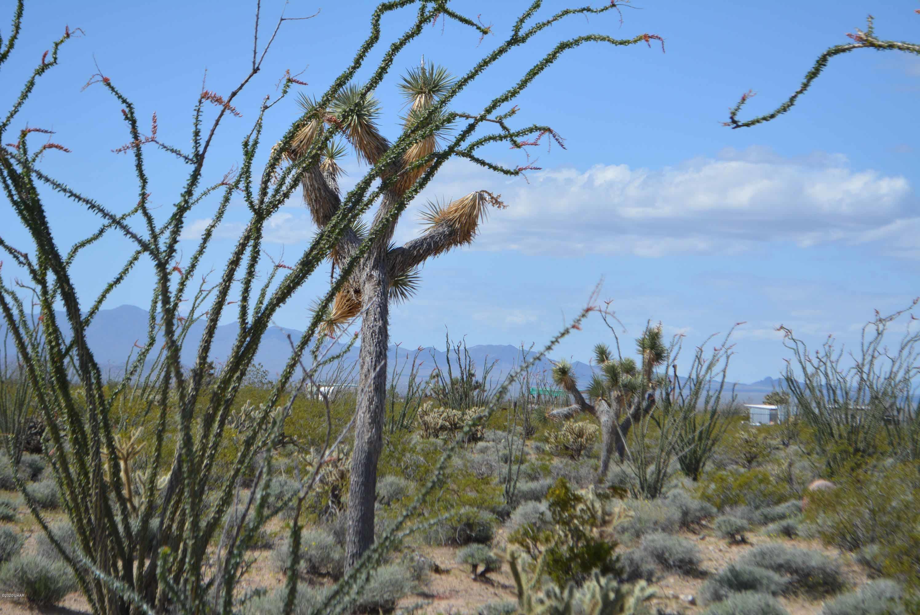 C3 Ruby Road Yucca, AZ 86438 - Photo 10 of 32 DSC_0240