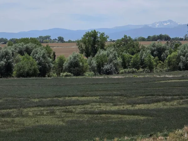 $769,000 | 20219 County Road 3, Berthoud, CO 80513