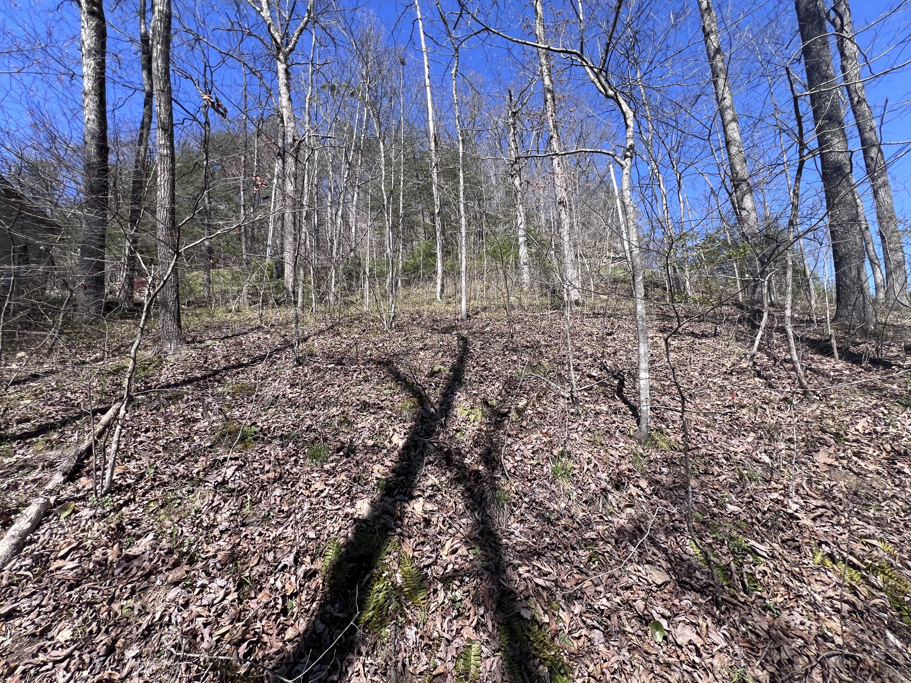 9911 Cliffs Edge Road East Bernstadt, KY 40729 - Photo 12 of 12 IMG_1715