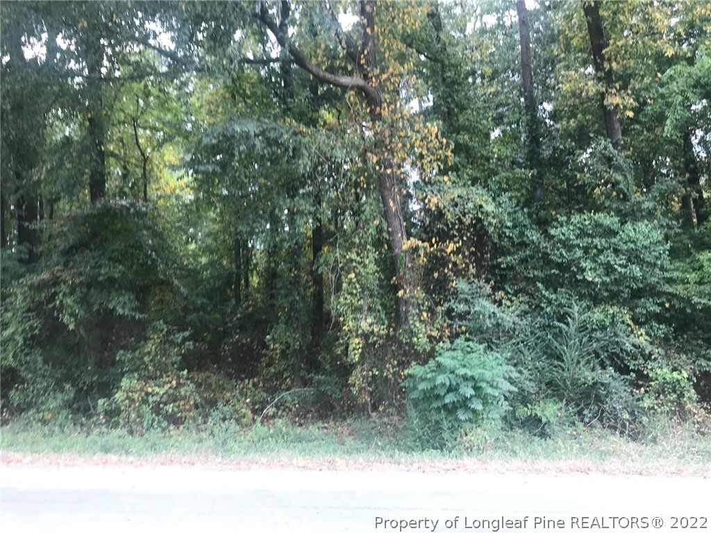 River Road Fayetteville, NC 28312 - Photo 1 of 1 Gallery Image 1