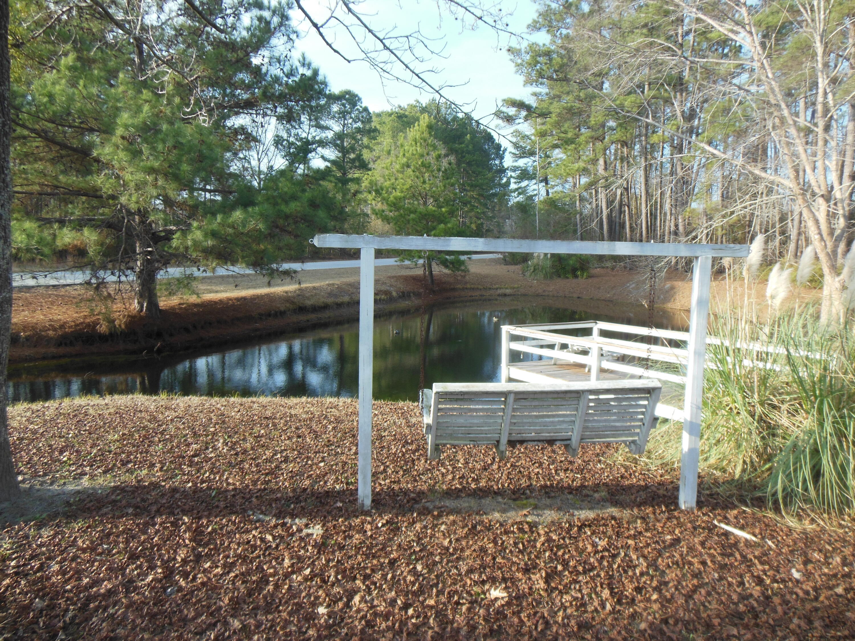 133 Banning Street Cope, SC 29038 - Photo 11 of 28 11 BANNING POND