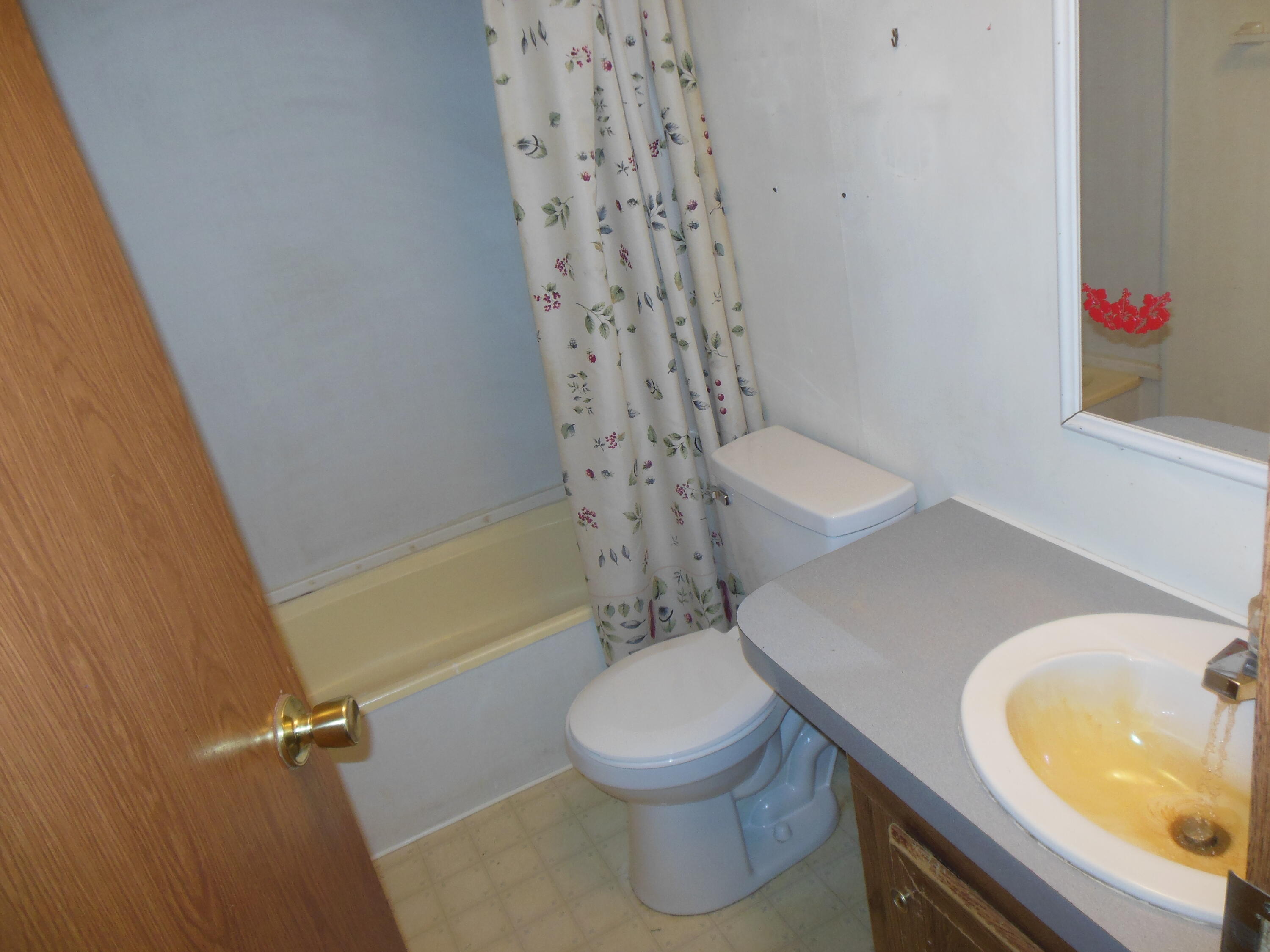 133 Banning Street Cope, SC 29038 - Photo 18 of 28 18 BANNING HALL BATH