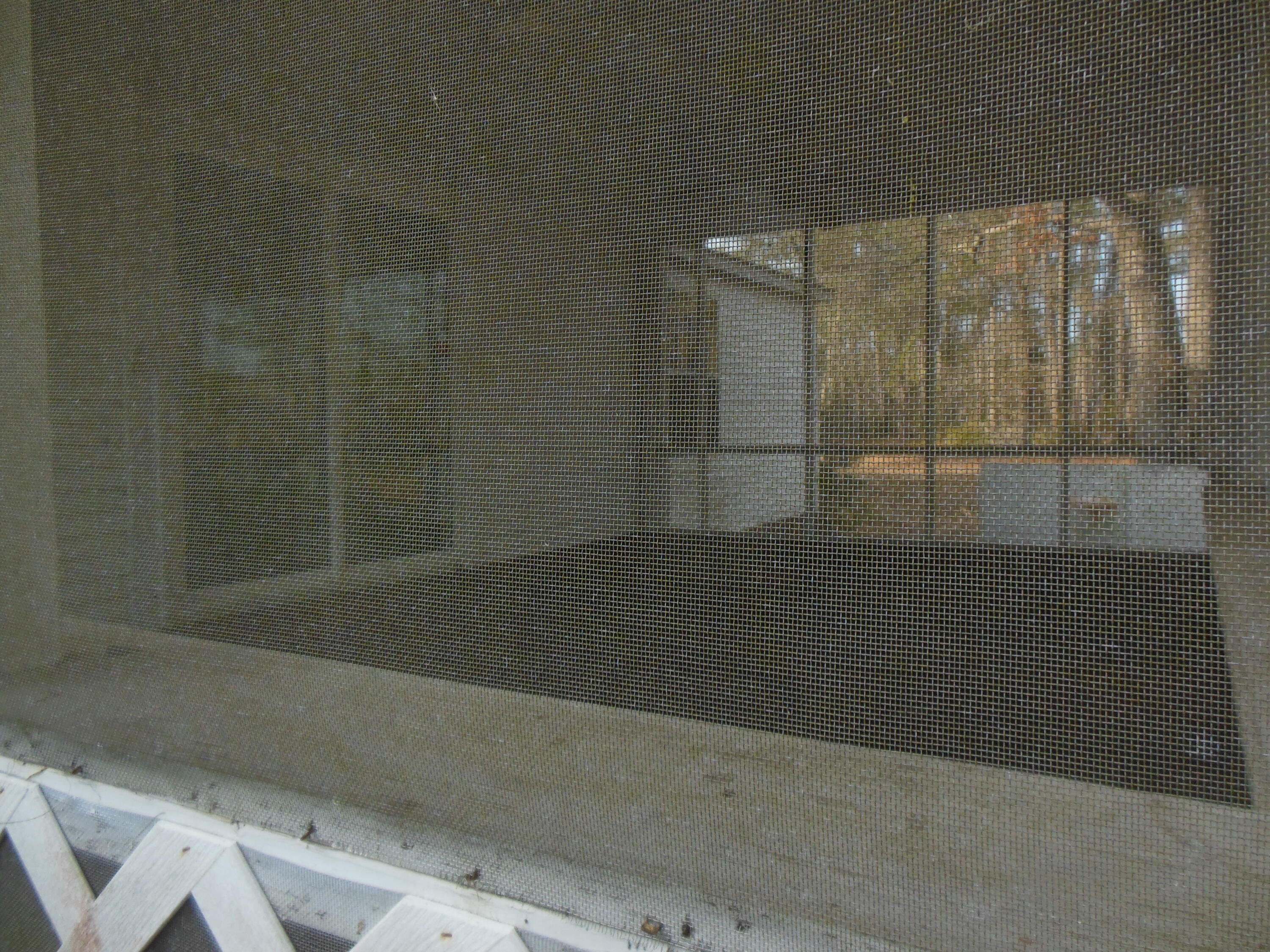 133 Banning Street Cope, SC 29038 - Photo 6 of 28 6 BANNING SCREEN PORCH