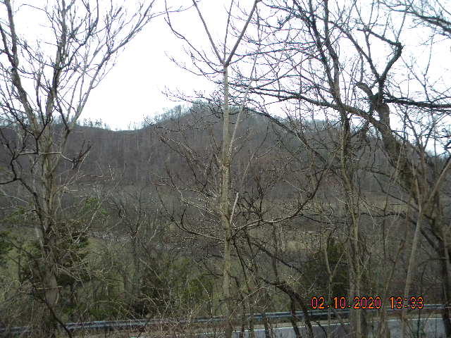 2940 North Fork Road Elliston, VA 24087 - Photo 18 of 18 a view of mountain with trees in the background