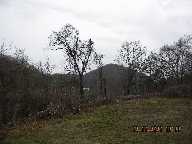 2940 North Fork Road Elliston, VA 24087 - Photo 2 of 18 a view of a yard
