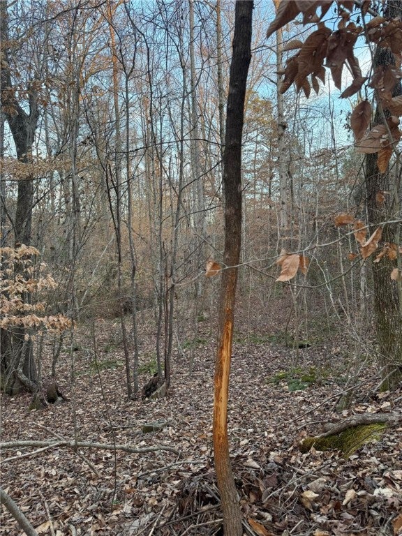 2 Old Columbus Road Opelika, AL 36804 - Photo 11 of 13 Gallery Image 11