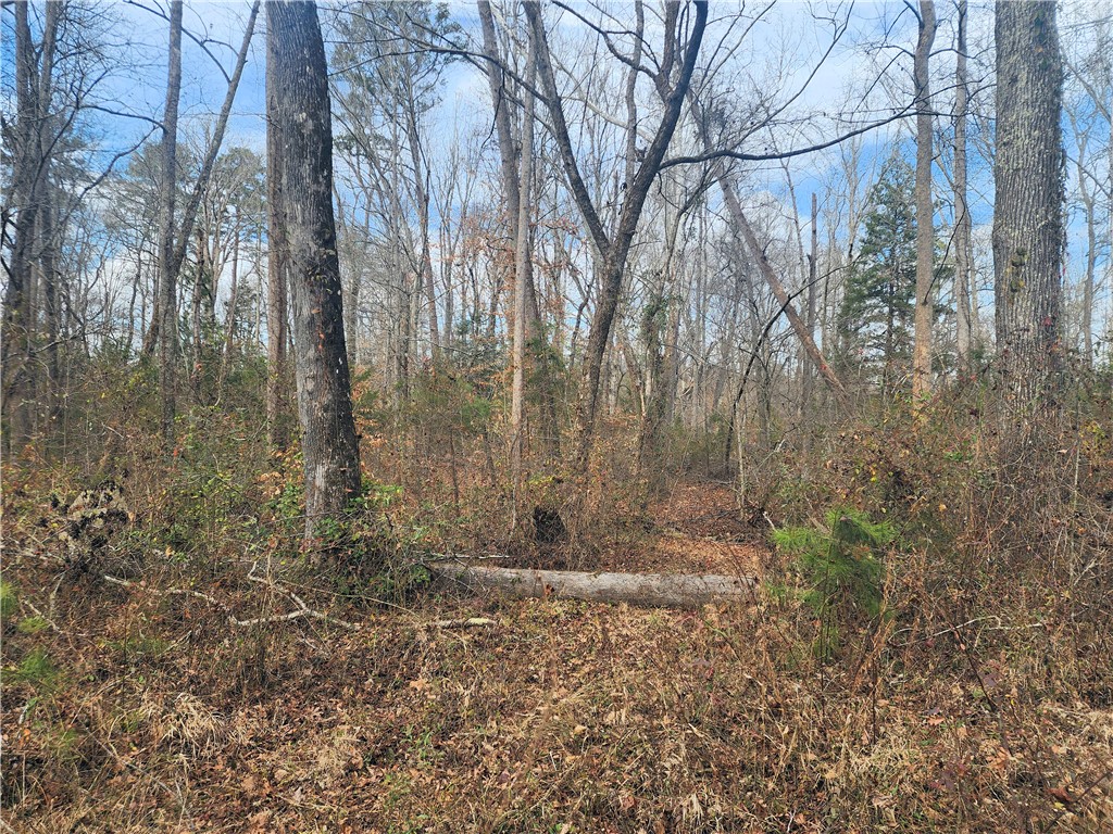 3068 State Rd S-30-40 Gray Court, SC 29645 - Photo 12 of 32