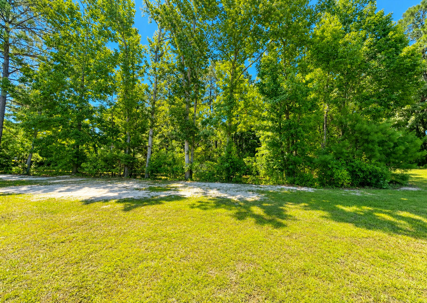 134 Wells Circle St. Stephen, SC 29479 - Photo 25 of 26 Back Yard6
