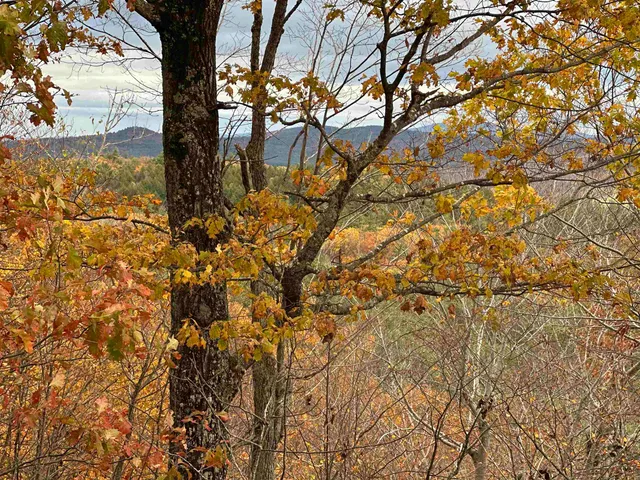 $500,000 | 0 Peaked Hill Road, Unit 7 1 7 2 7 3 7 4, Bristol, NH 03222