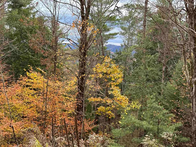 $500,000 | 0 Peaked Hill Road, Unit 7 1 7 2 7 3 7 4, Bristol, NH 03222